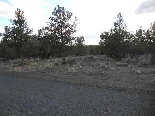 215 Mountain Wood Dr.