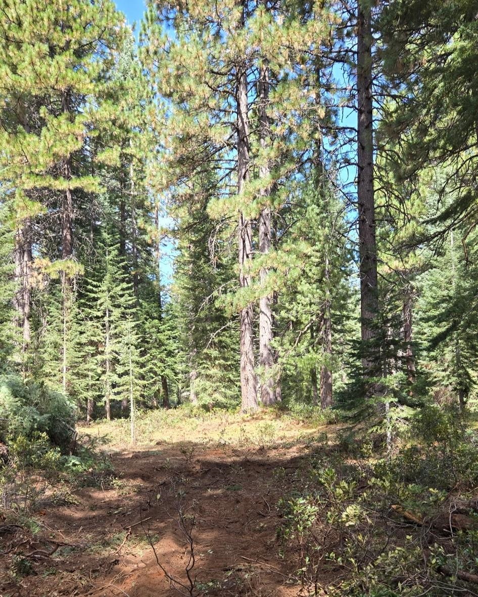 Unit 4 Lot 5 Lakeview Dr.