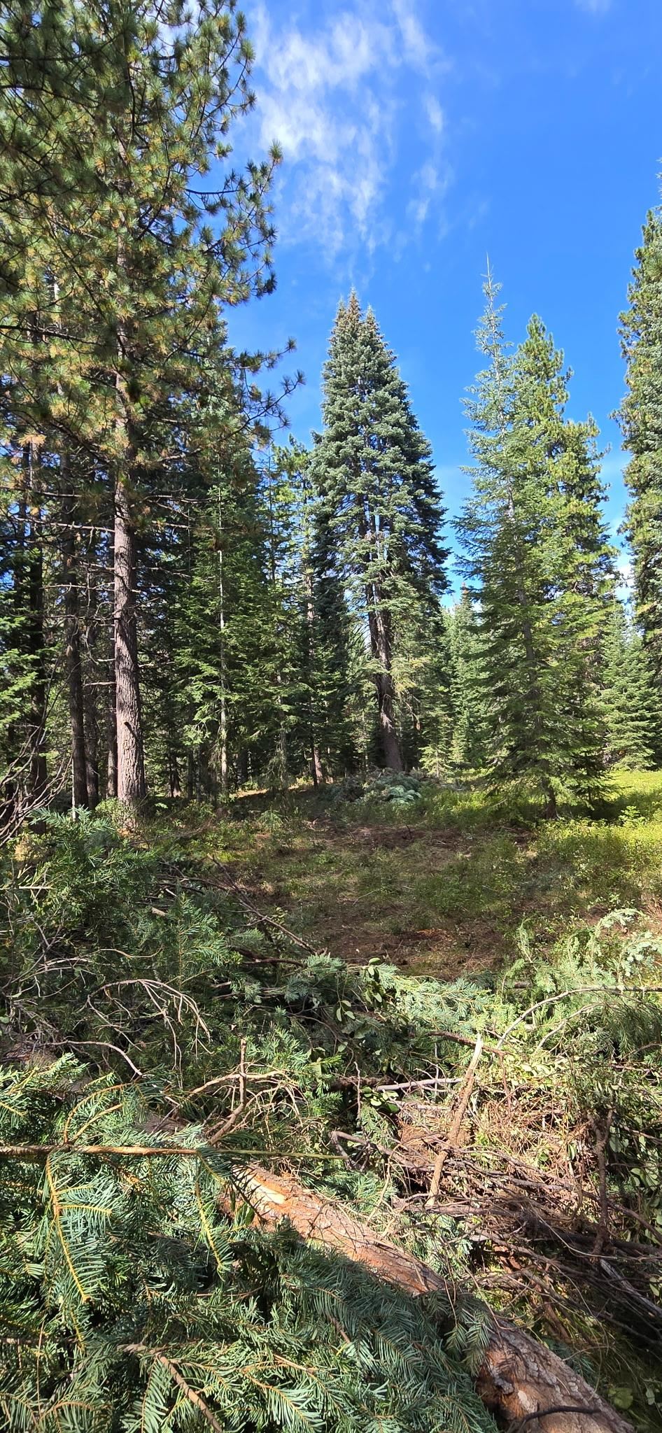 Unit 4 Lot 5 Lakeview Dr.