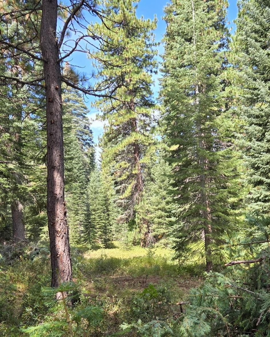 Unit 4 Lot 5 Lakeview Dr.