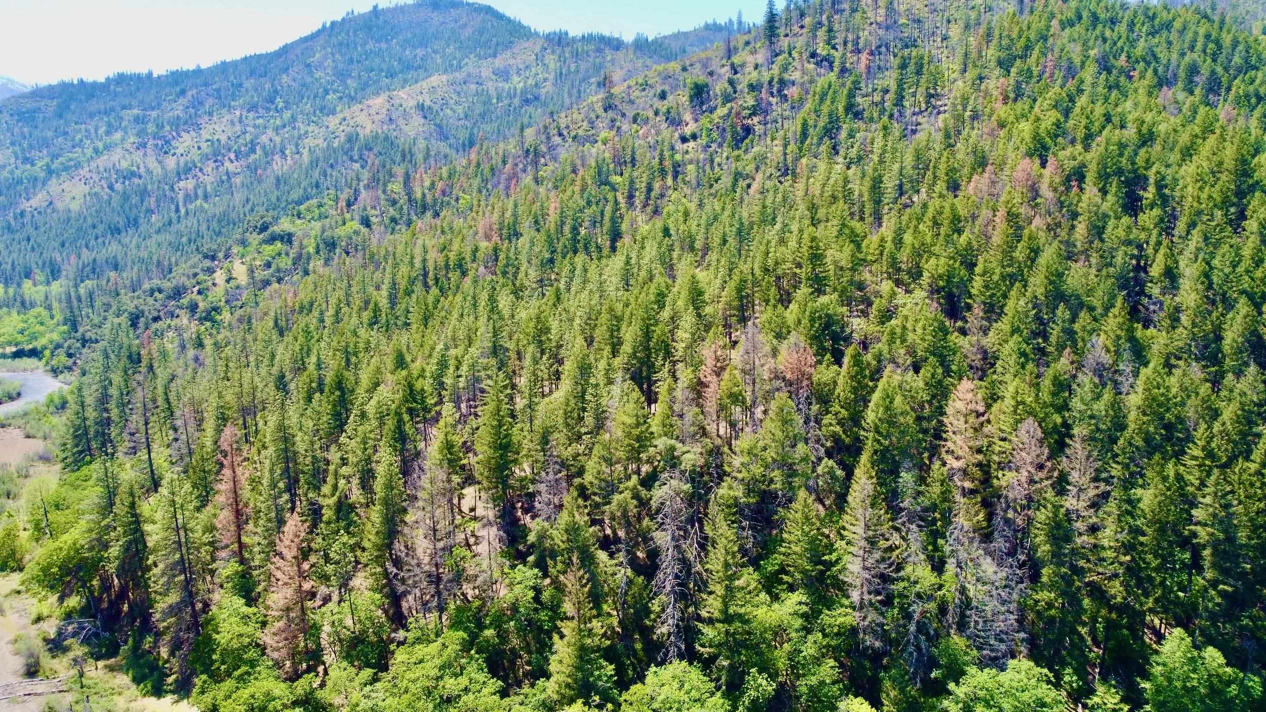 Lot 71 & 30 Highway 96