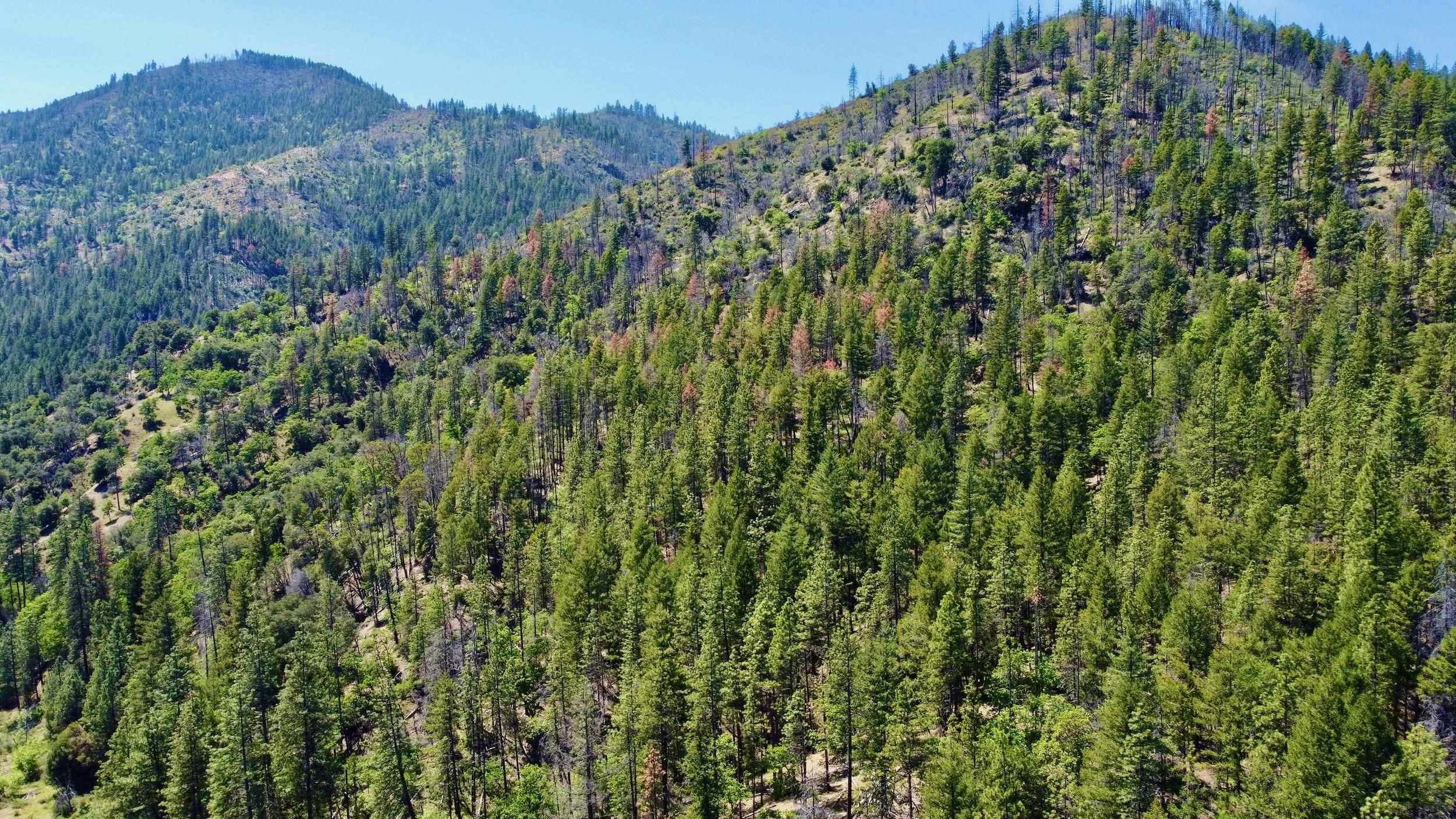 Lot 71 & 30 Highway 96