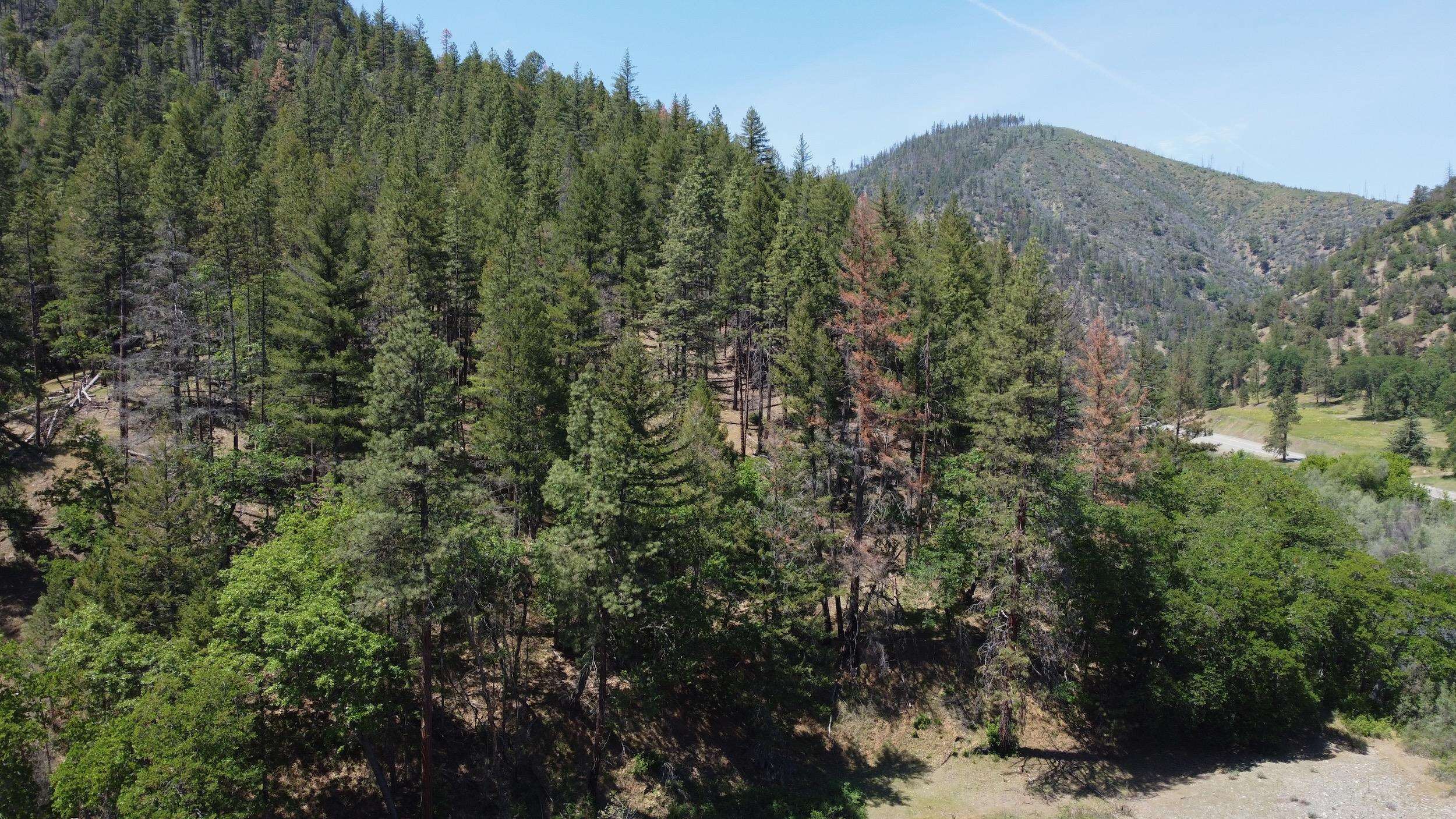 Lot 71 & 30 Highway 96