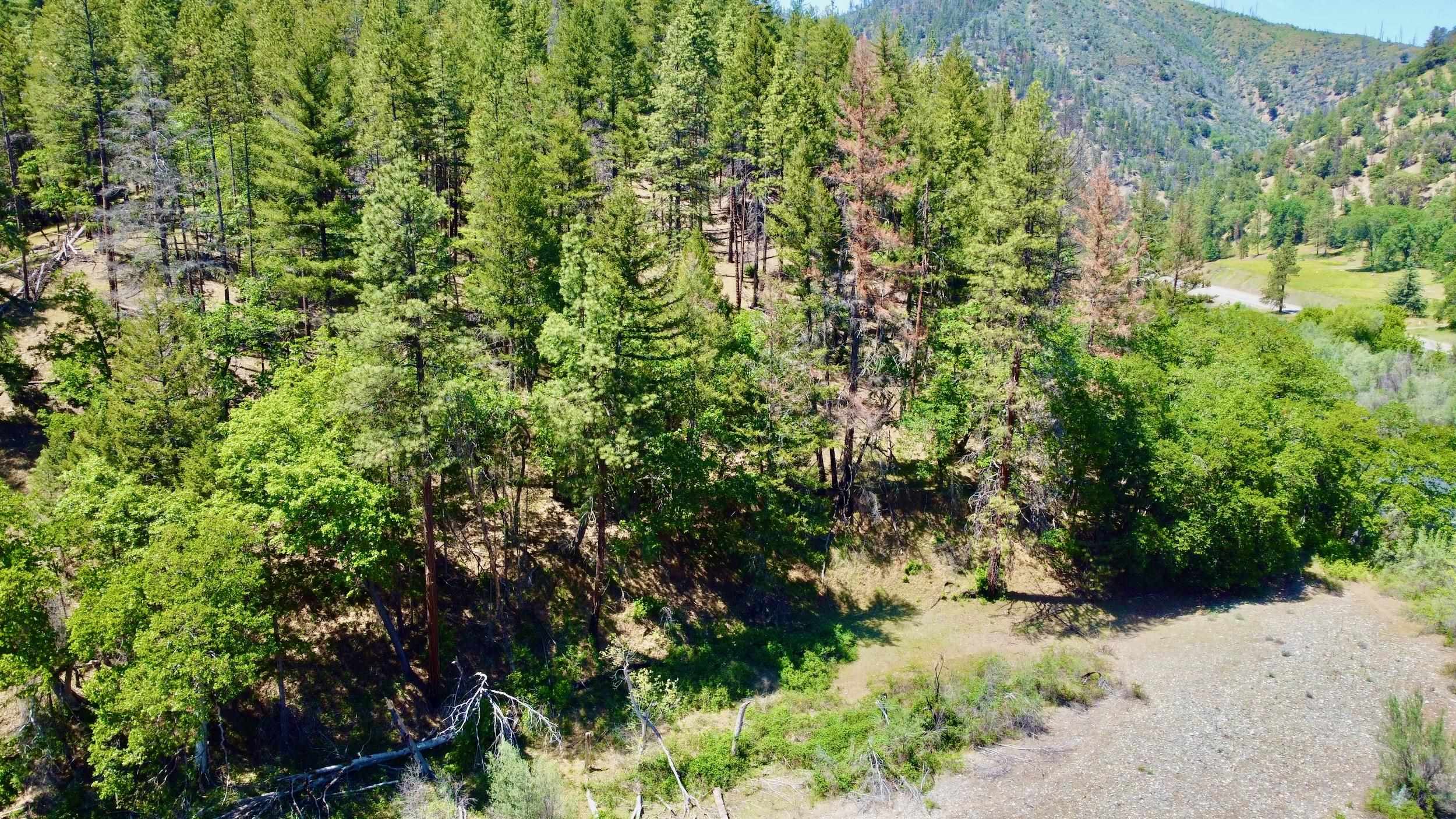 Lot 71 & 30 Highway 96