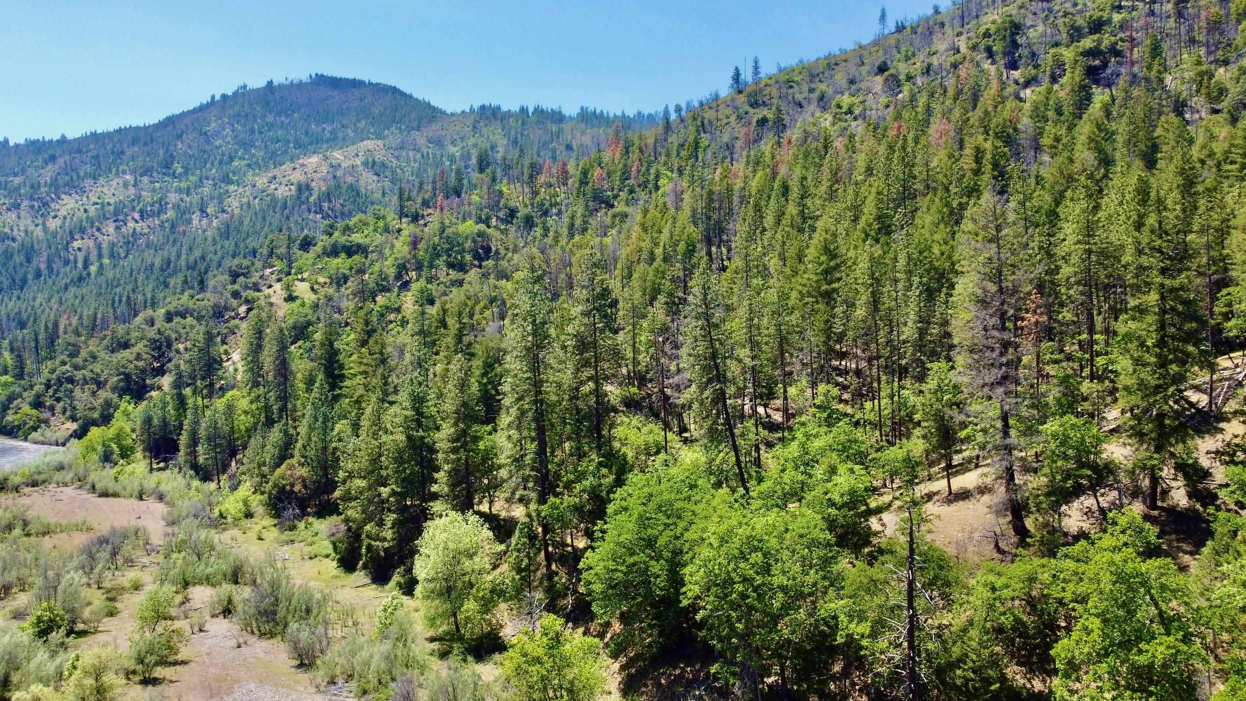 Lot 71 & 30 Highway 96