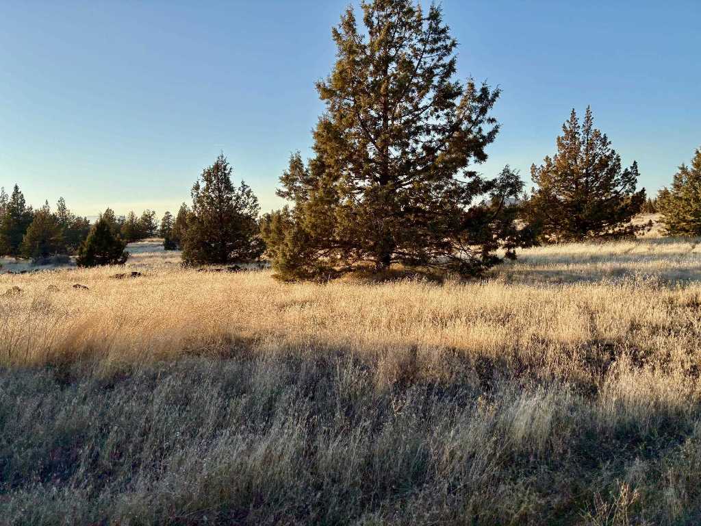 Lot 70 Jade Ave