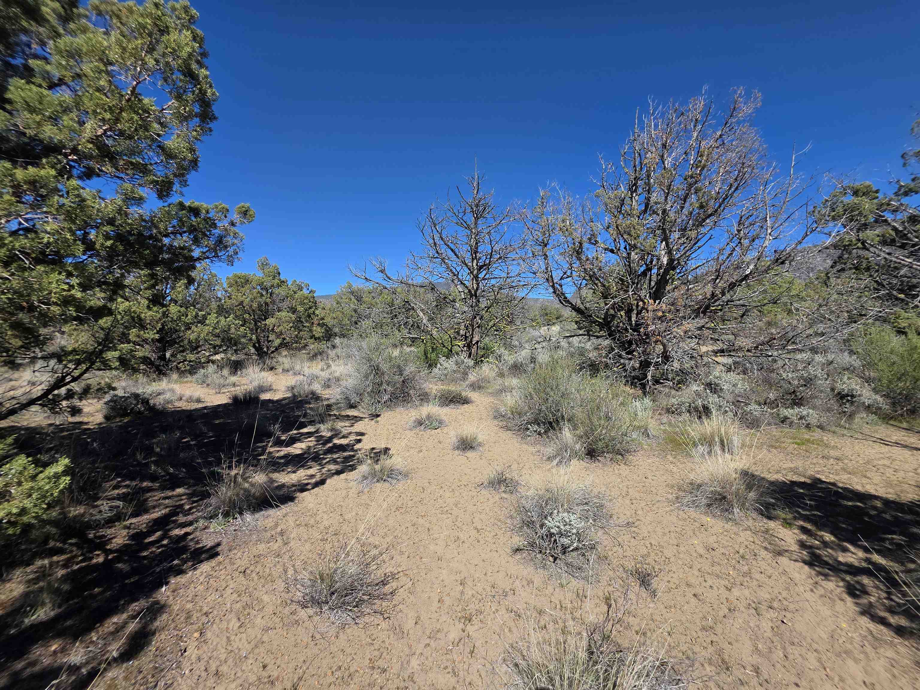 Blk 8 Lot 39 Katrina Dr