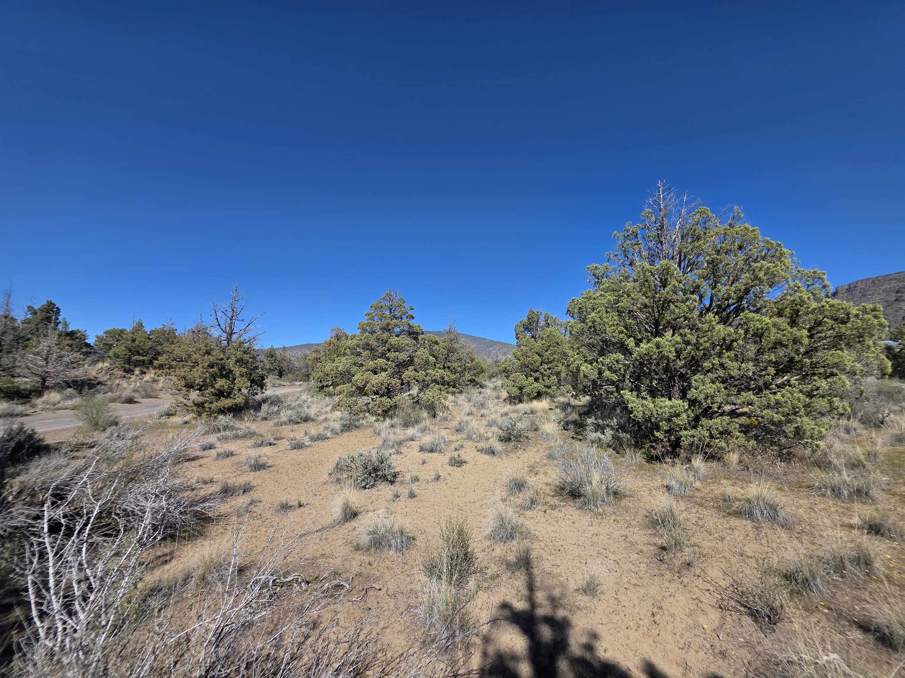 Blk 8 Lot 39 Katrina Dr