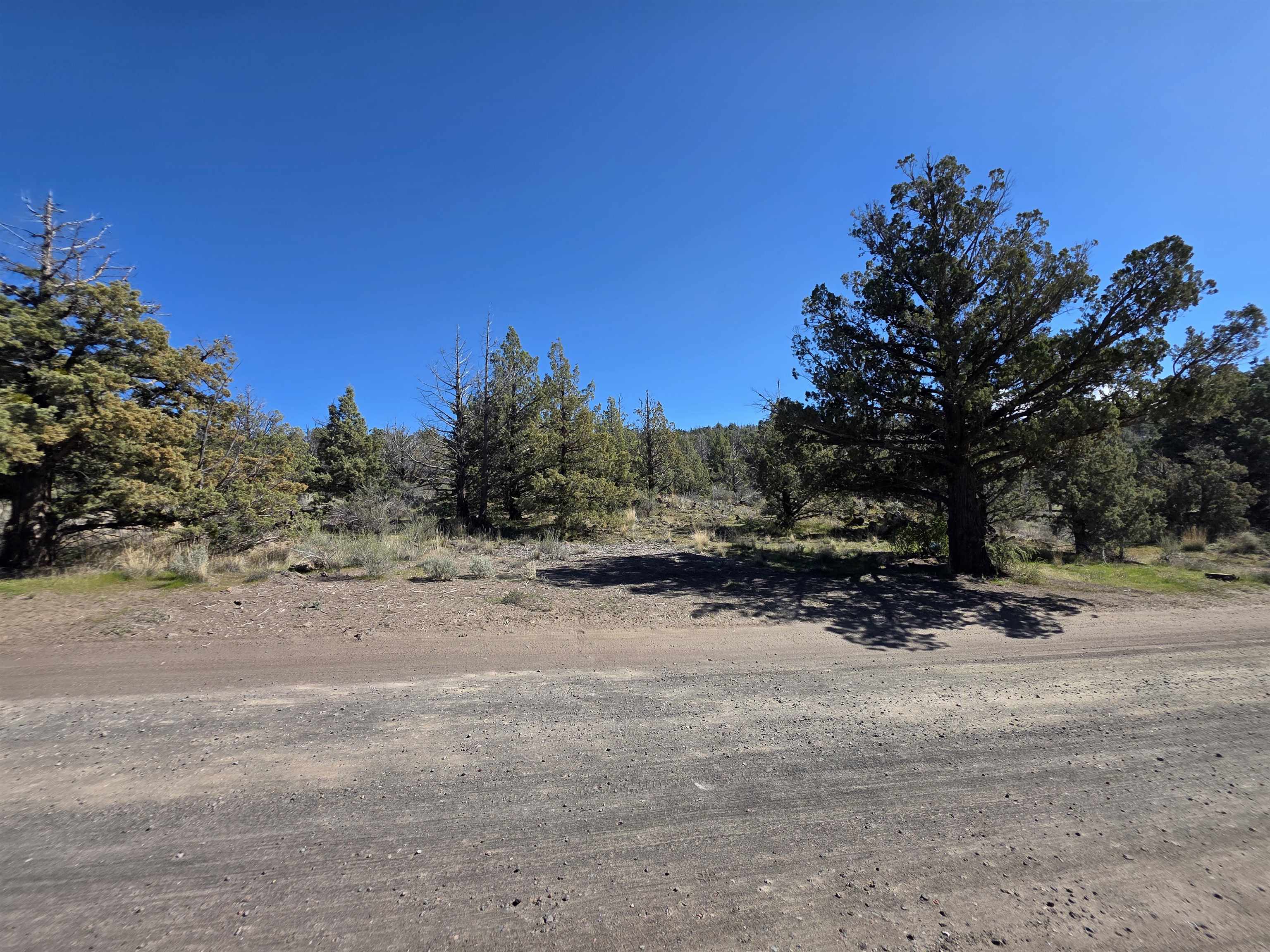 Blk 8 Lot 39 Katrina Dr