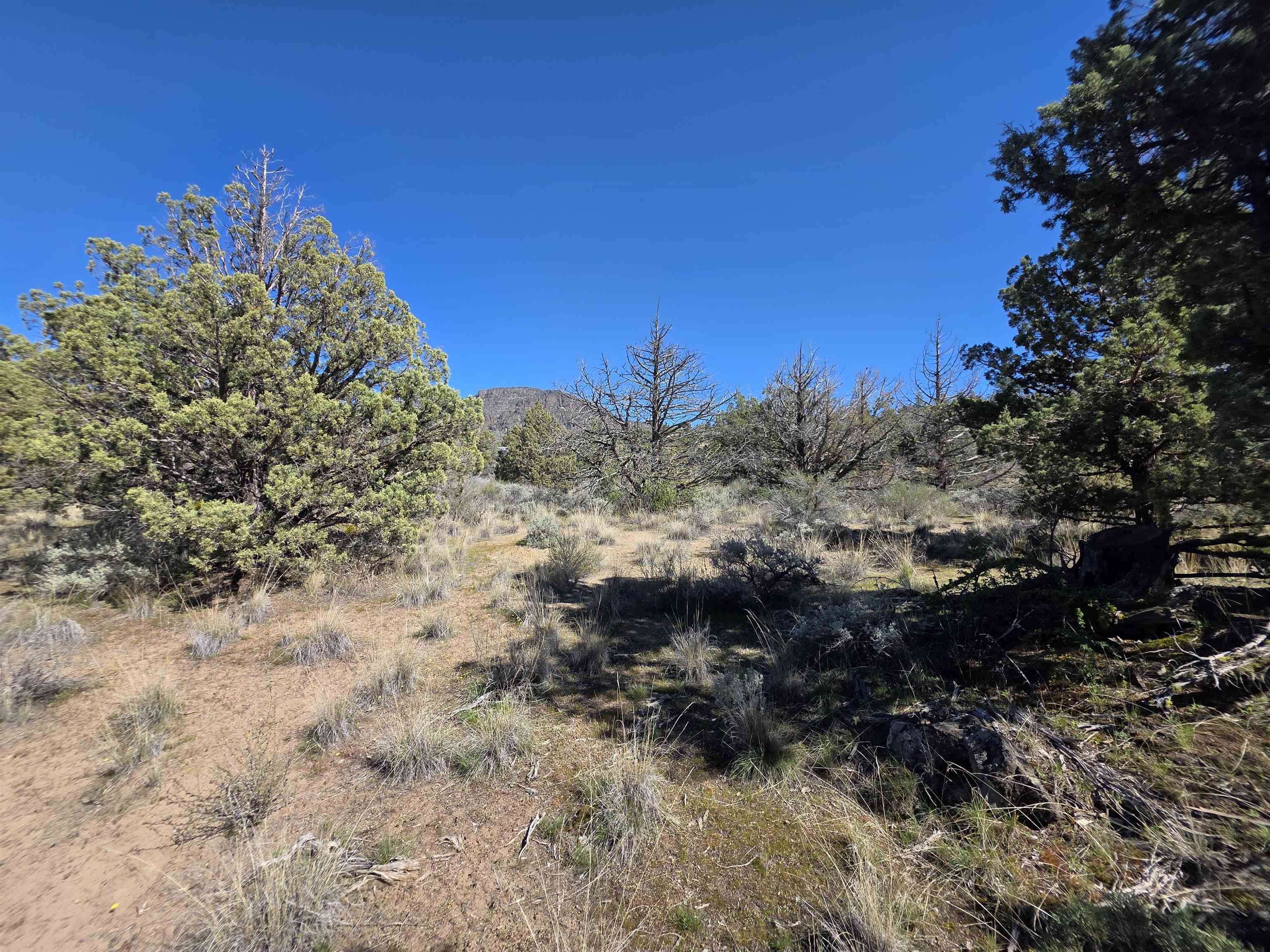 Blk 8 Lot 39 Katrina Dr