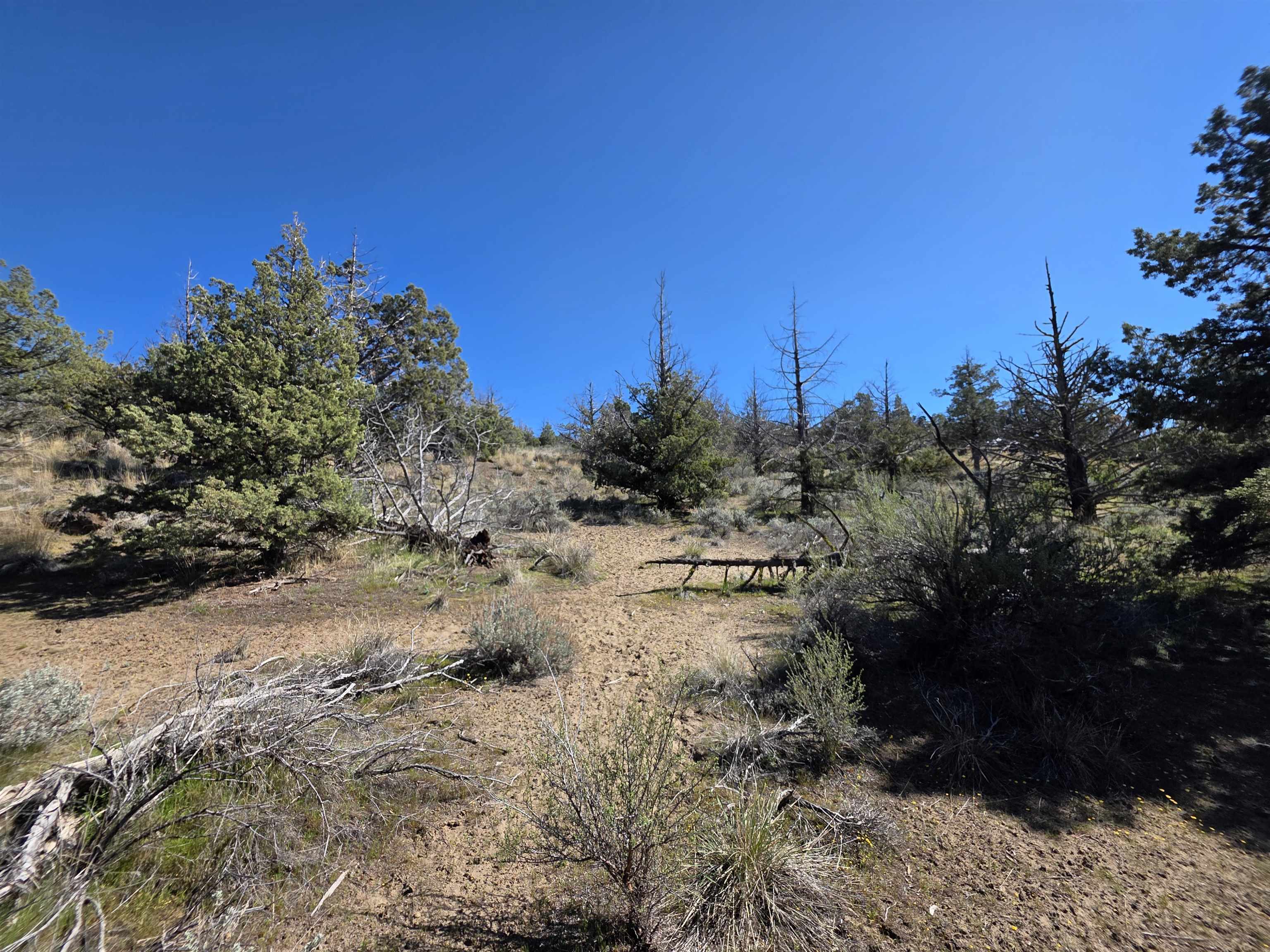 Blk 8 Lot 39 Katrina Dr