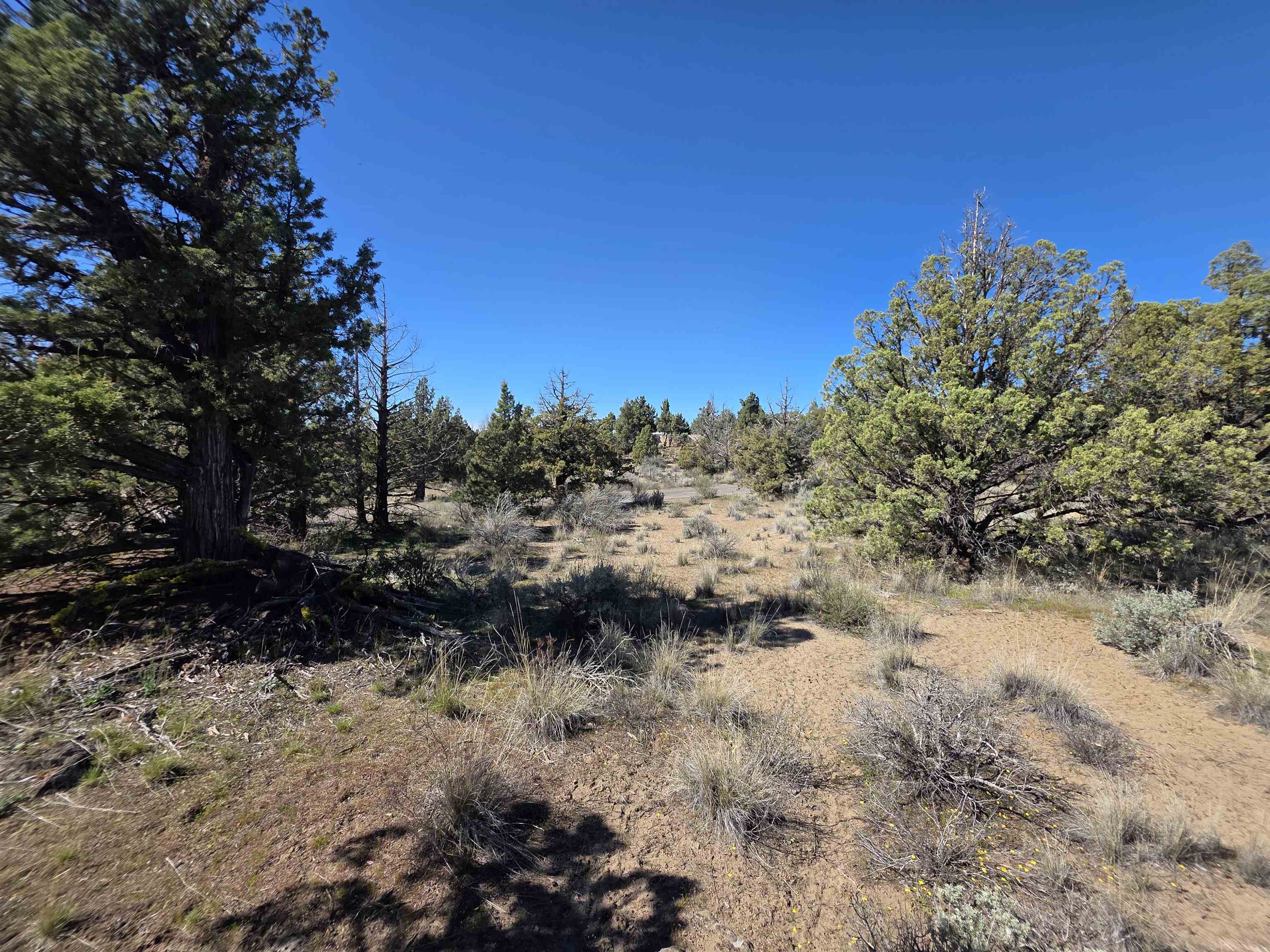 Blk 8 Lot 39 Katrina Dr