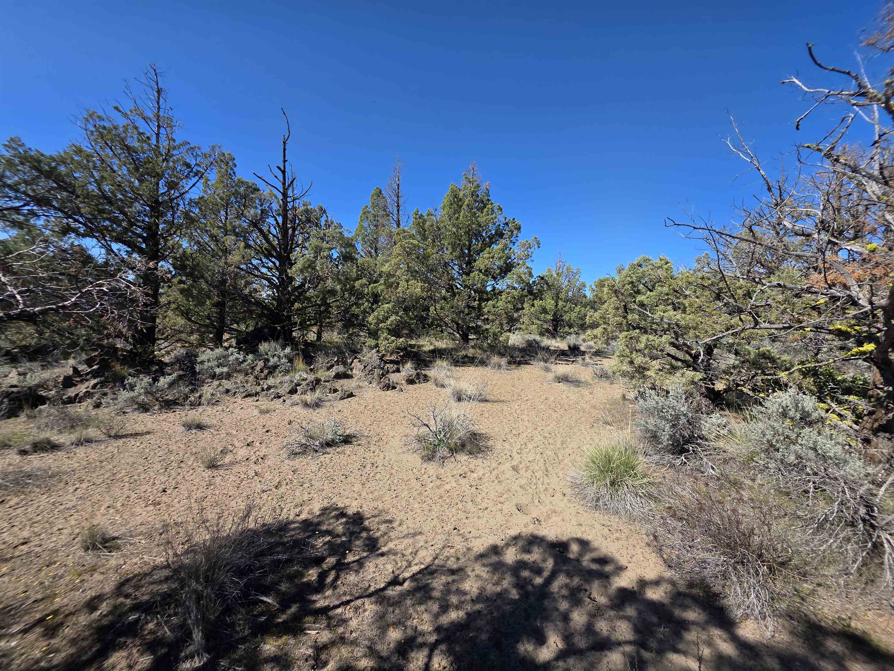 Blk 8 Lot 39 Katrina Dr