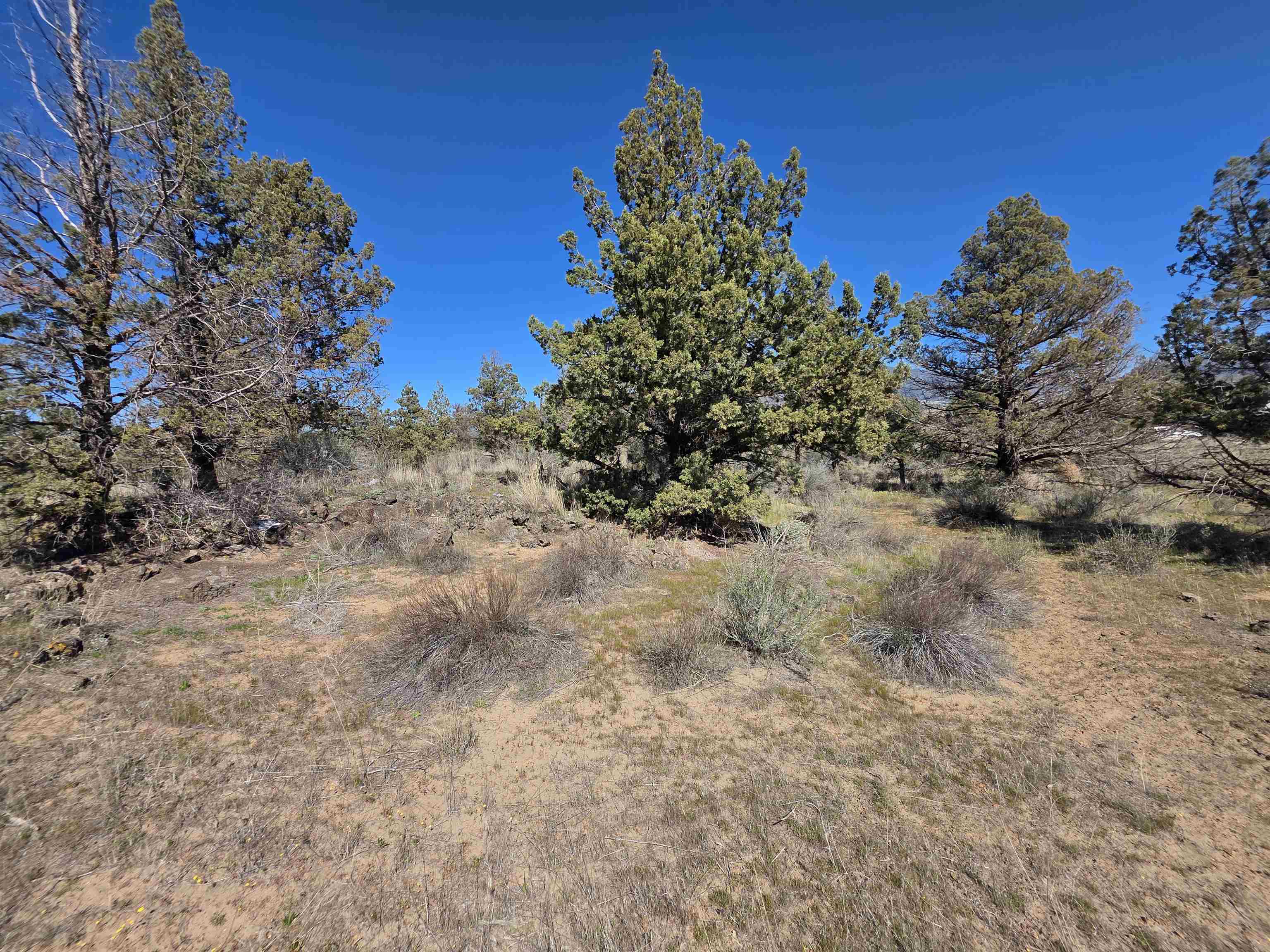 Blk 67 Lot 3 Martin Dr.