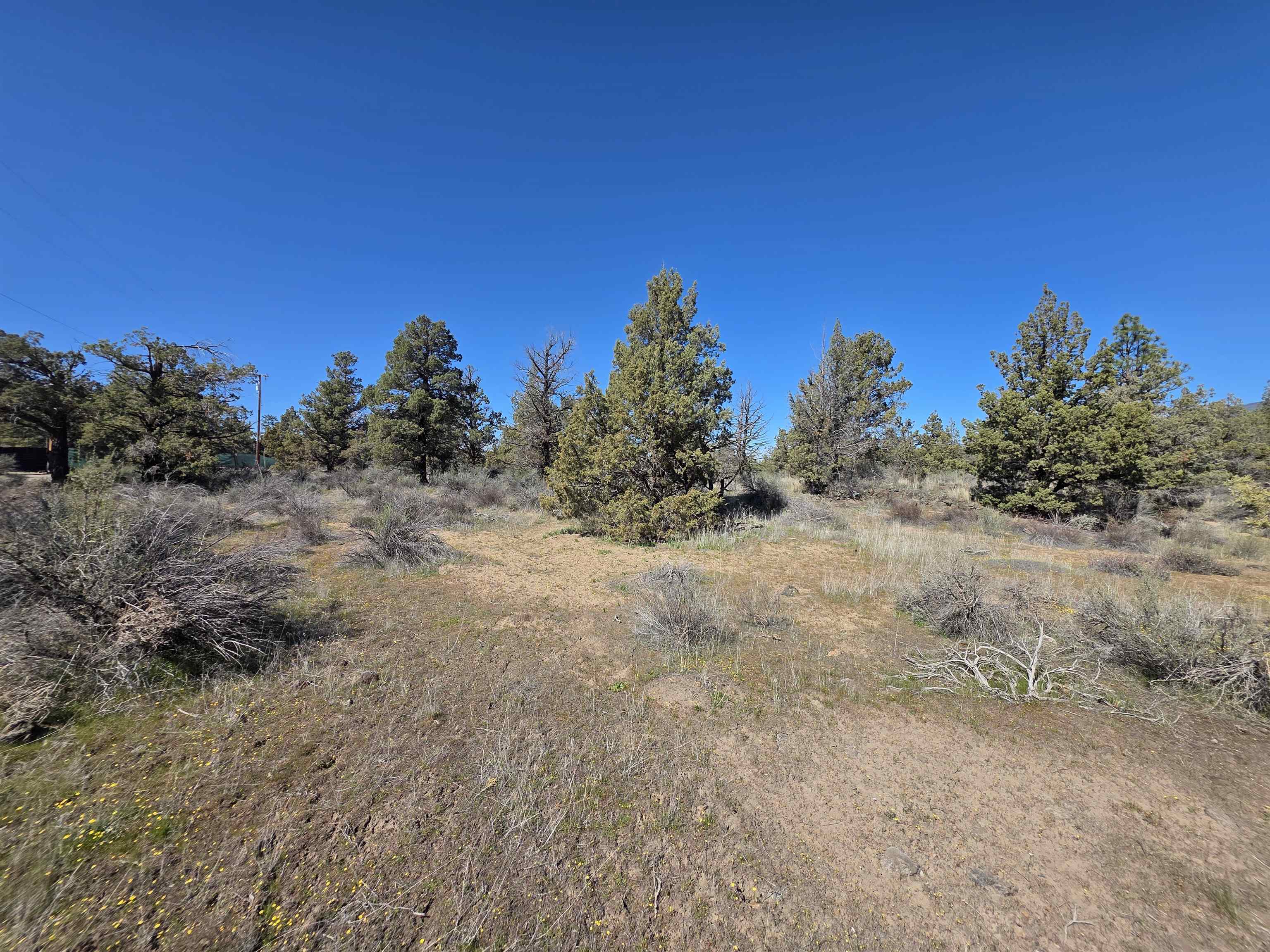 Blk 67 Lot 3 Martin Dr.