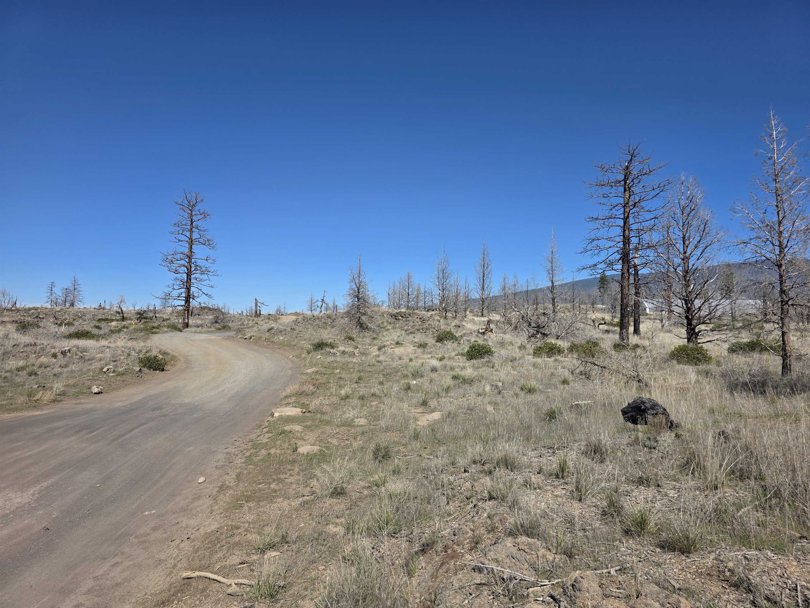 Blk 43 Lot 34 Heinzelman Dr.