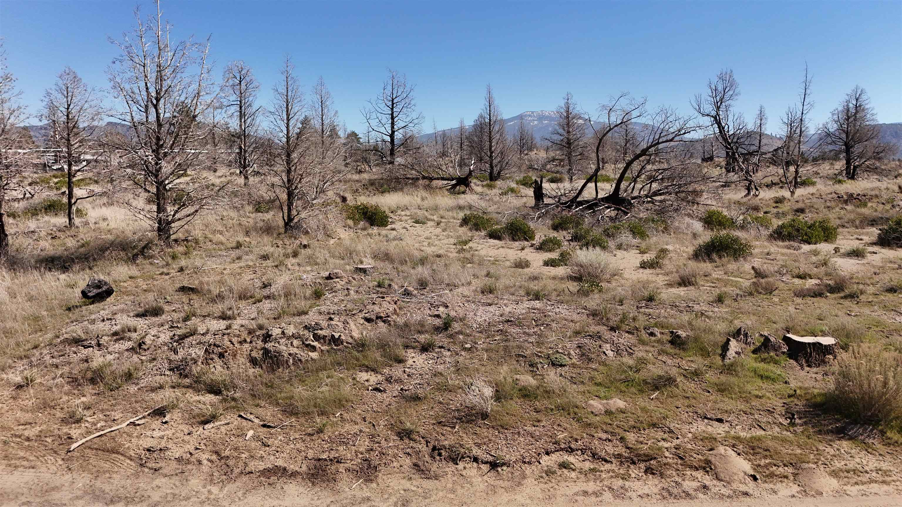 Blk 43 Lot 34 Heinzelman Dr.