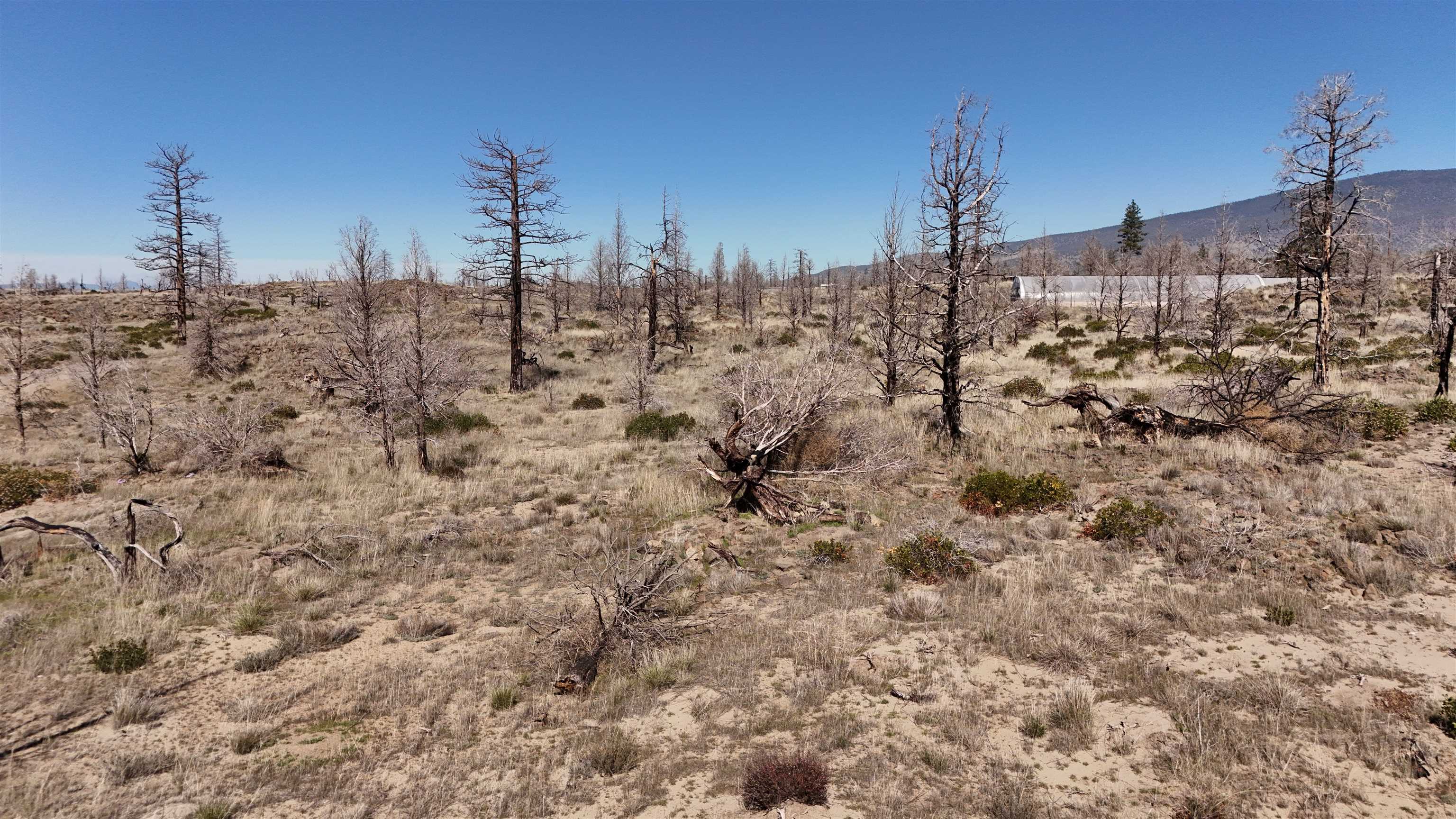 Blk 43 Lot 34 Heinzelman Dr.