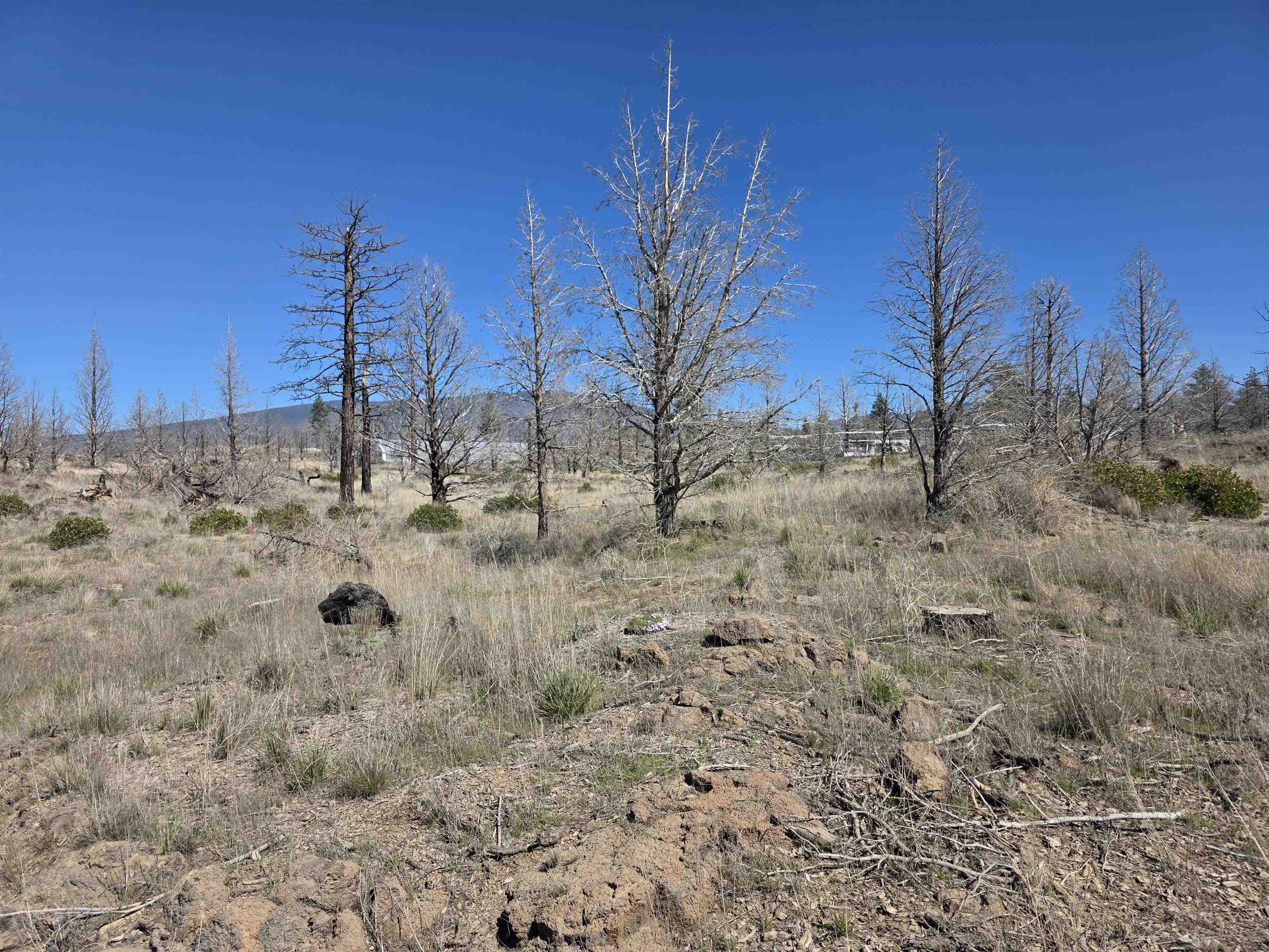 Blk 43 Lot 34 Heinzelman Dr.