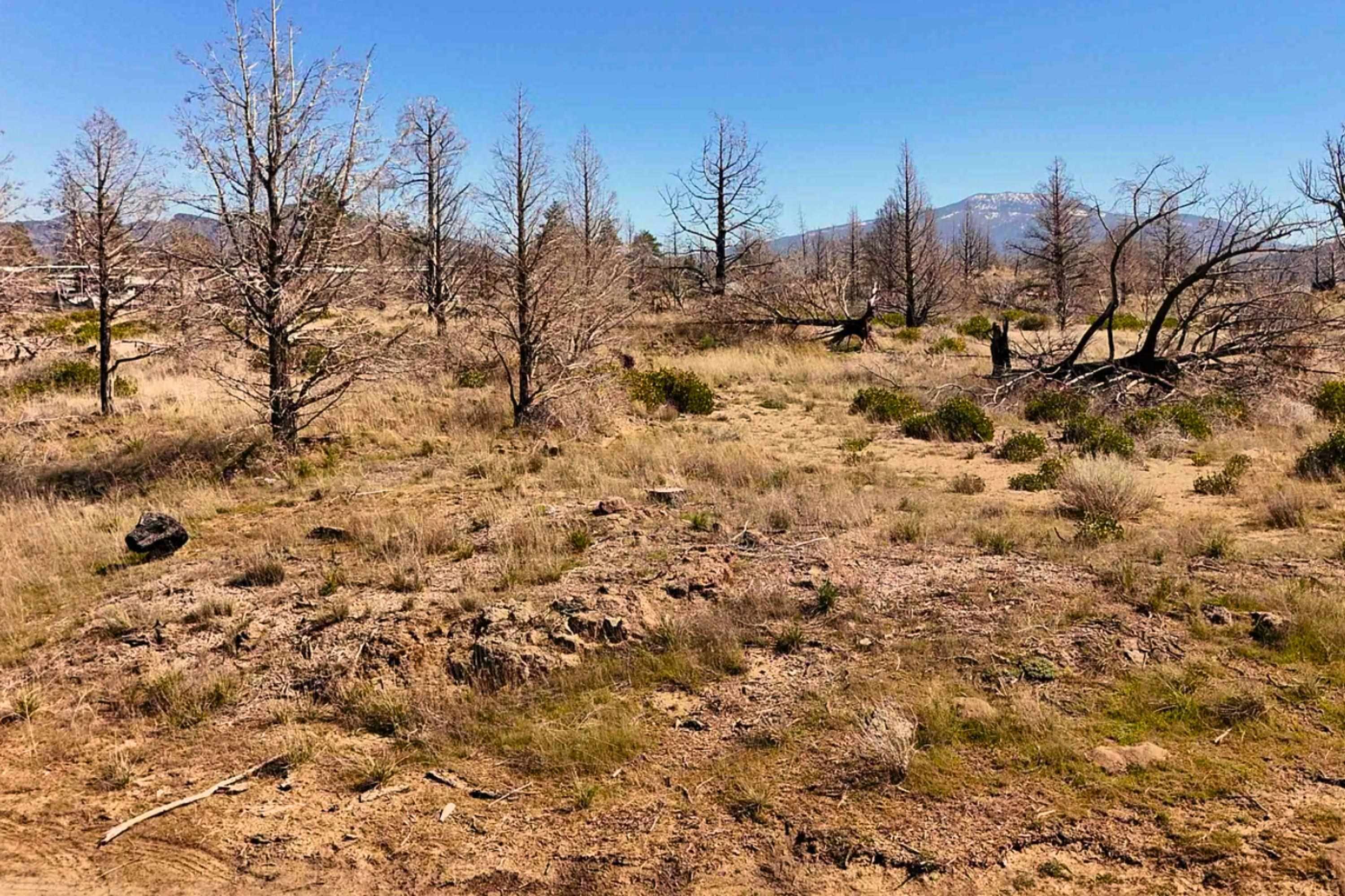 Blk 43 Lot 34 Heinzelman Dr.