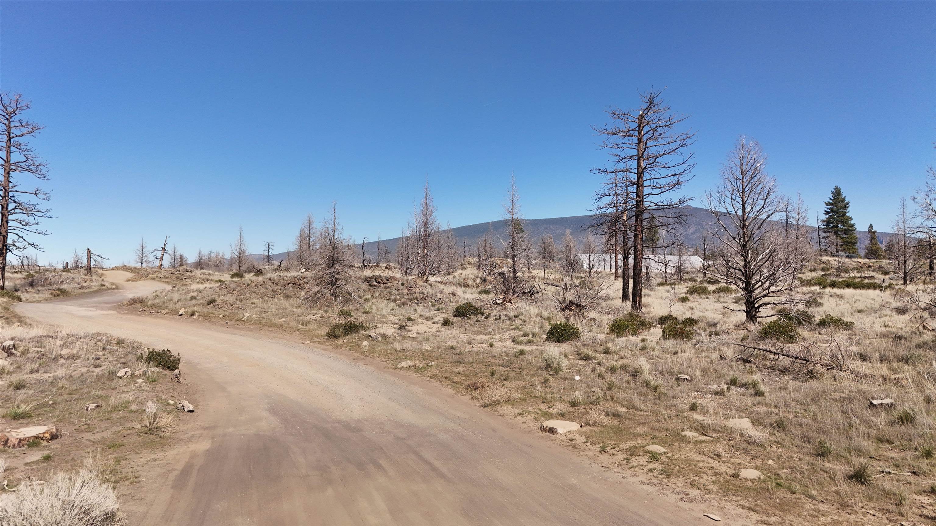 Blk 43 Lot 34 Heinzelman Dr.