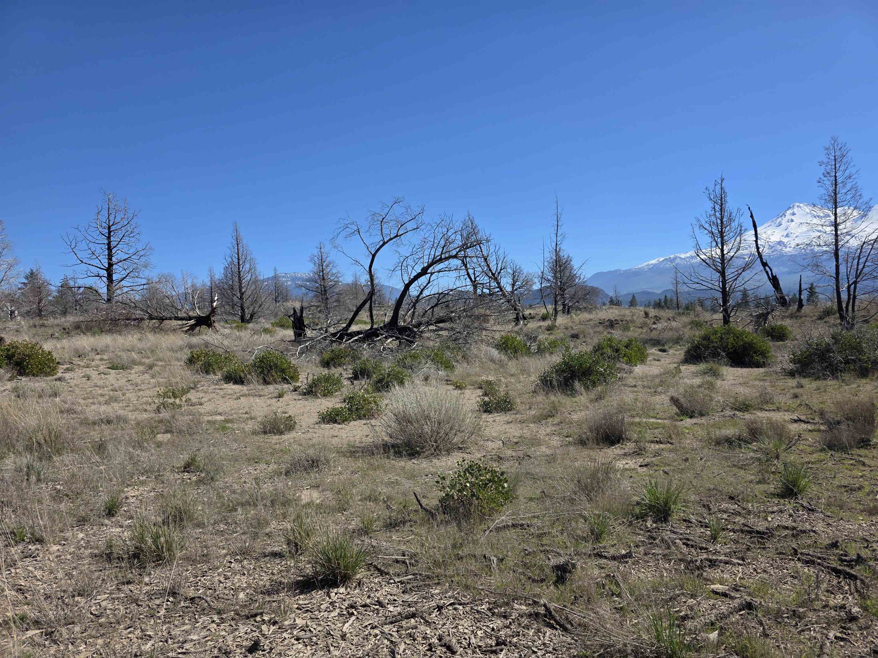 Blk 43 Lot 34 Heinzelman Dr.