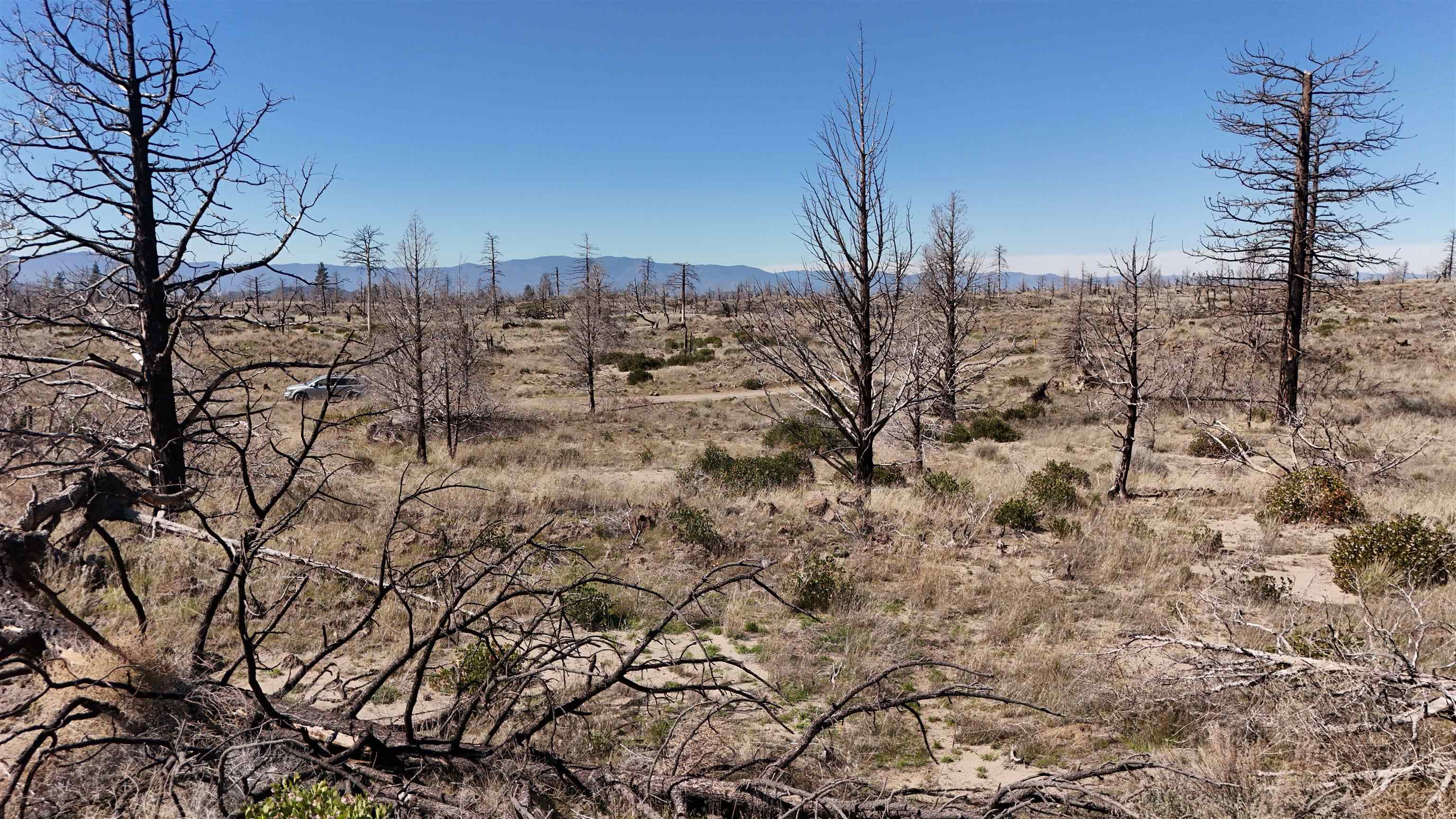 Blk 43 Lot 34 Heinzelman Dr.