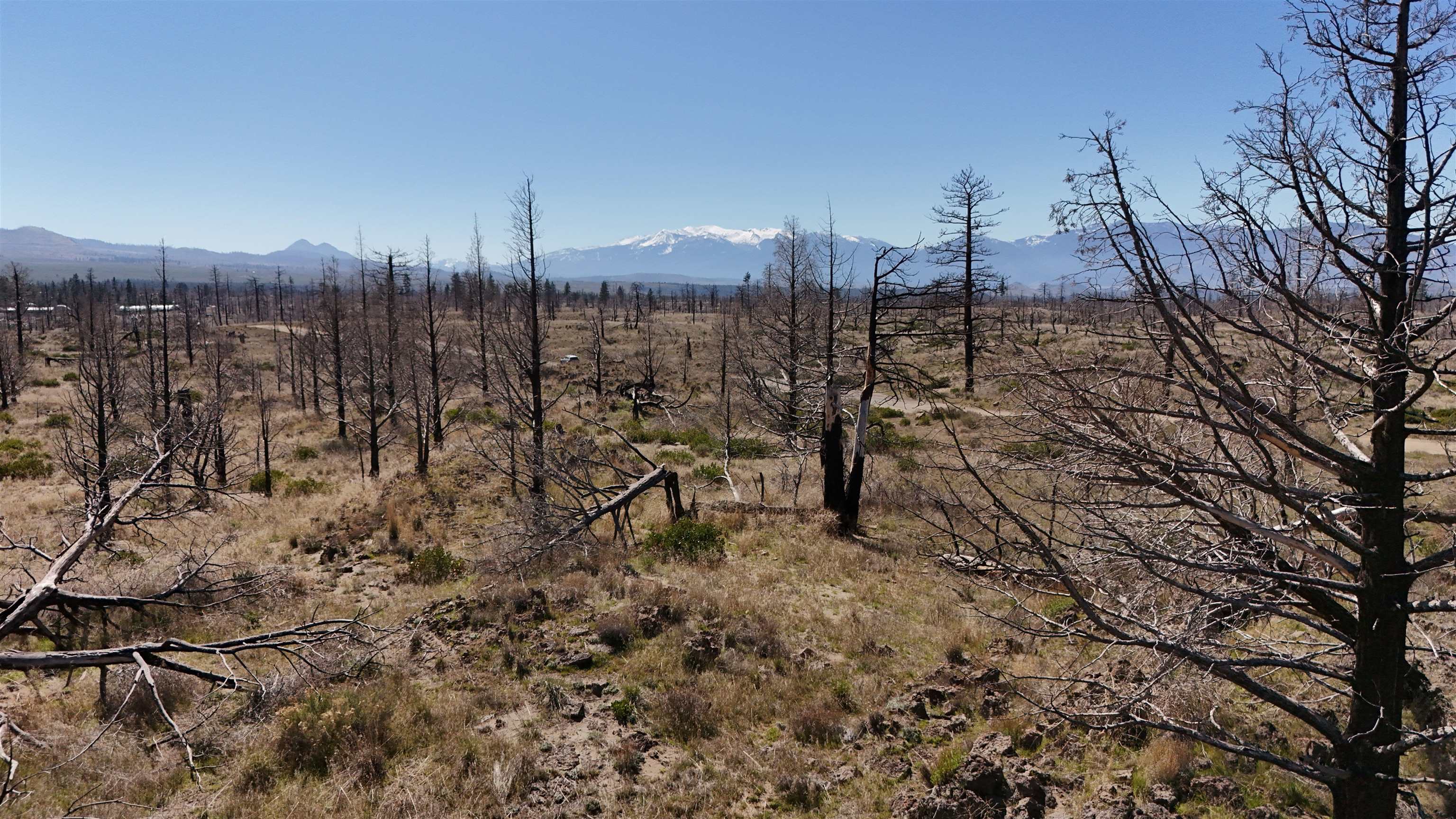 Blk 43 Lot 35 Heinzelman Dr