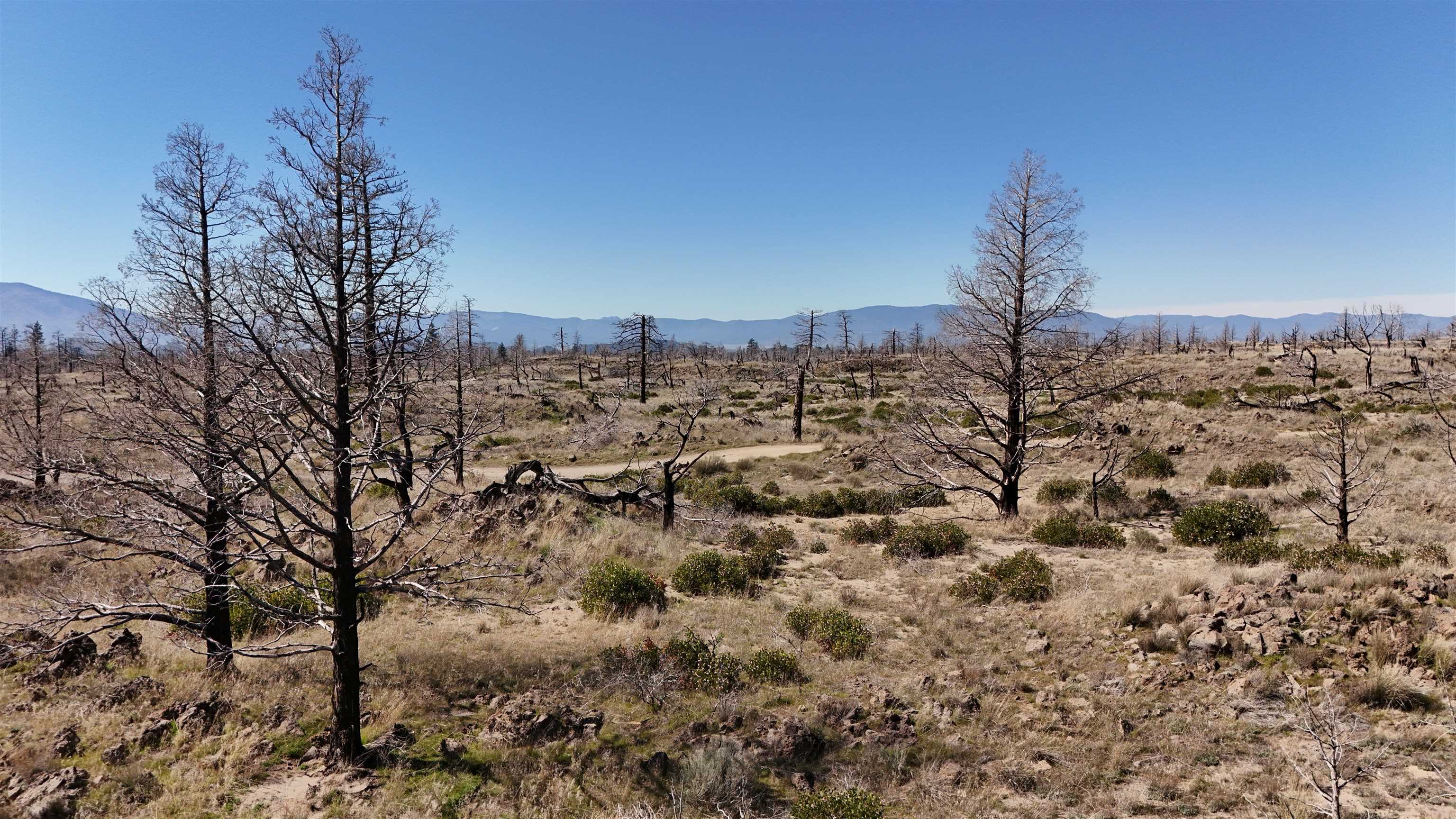 Blk 43 Lot 35 Heinzelman Dr