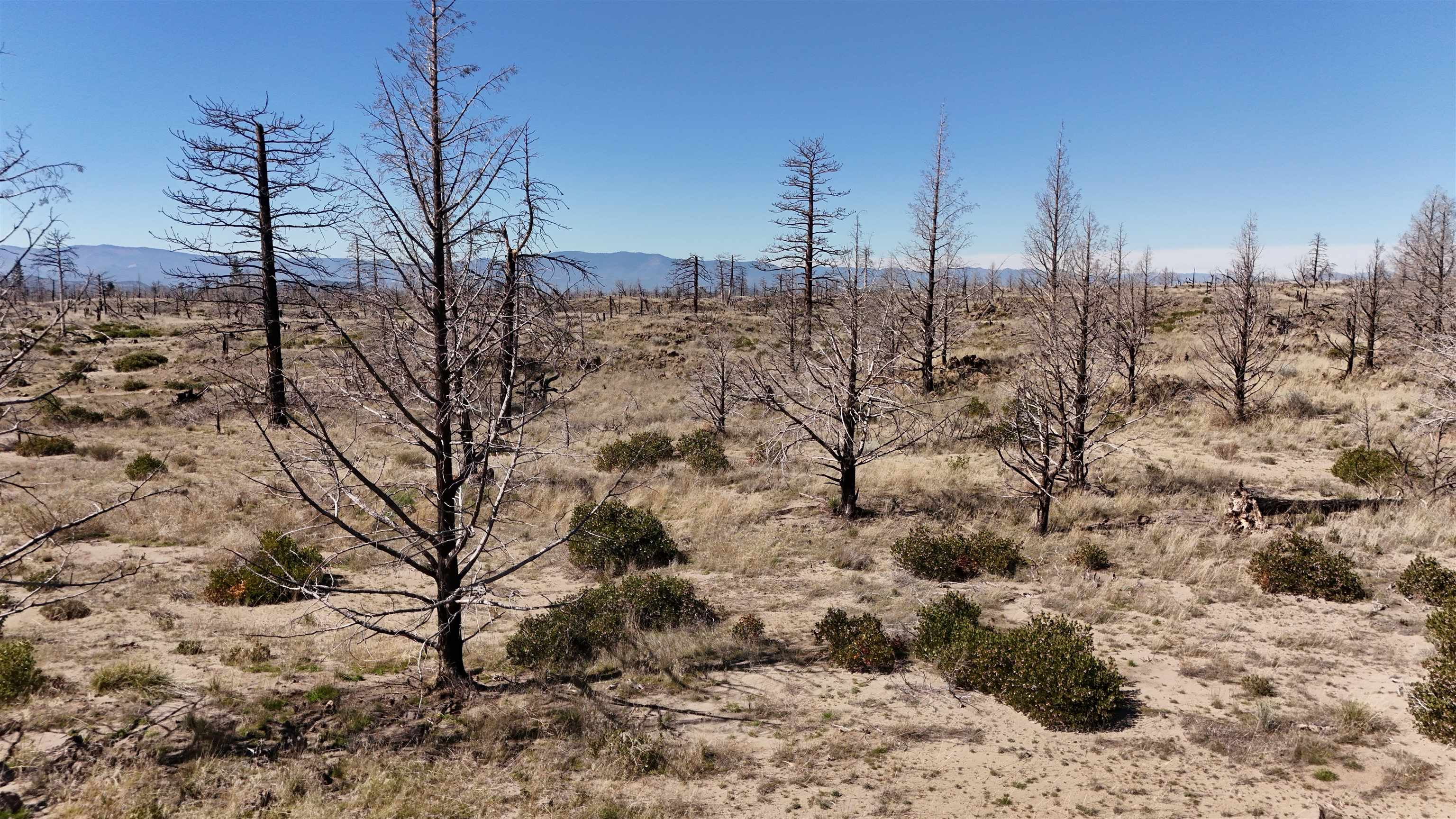 Blk 43 Lot 35 Heinzelman Dr