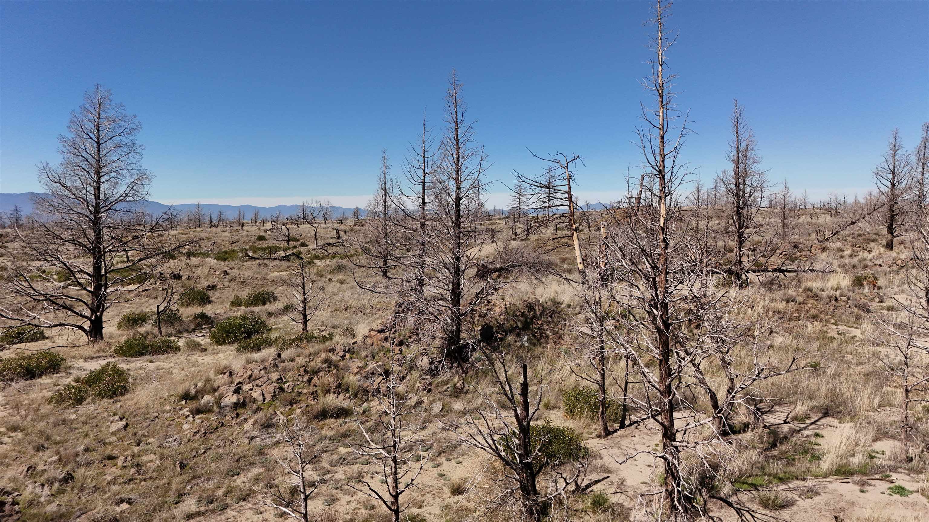 Blk 43 Lot 35 Heinzelman Dr