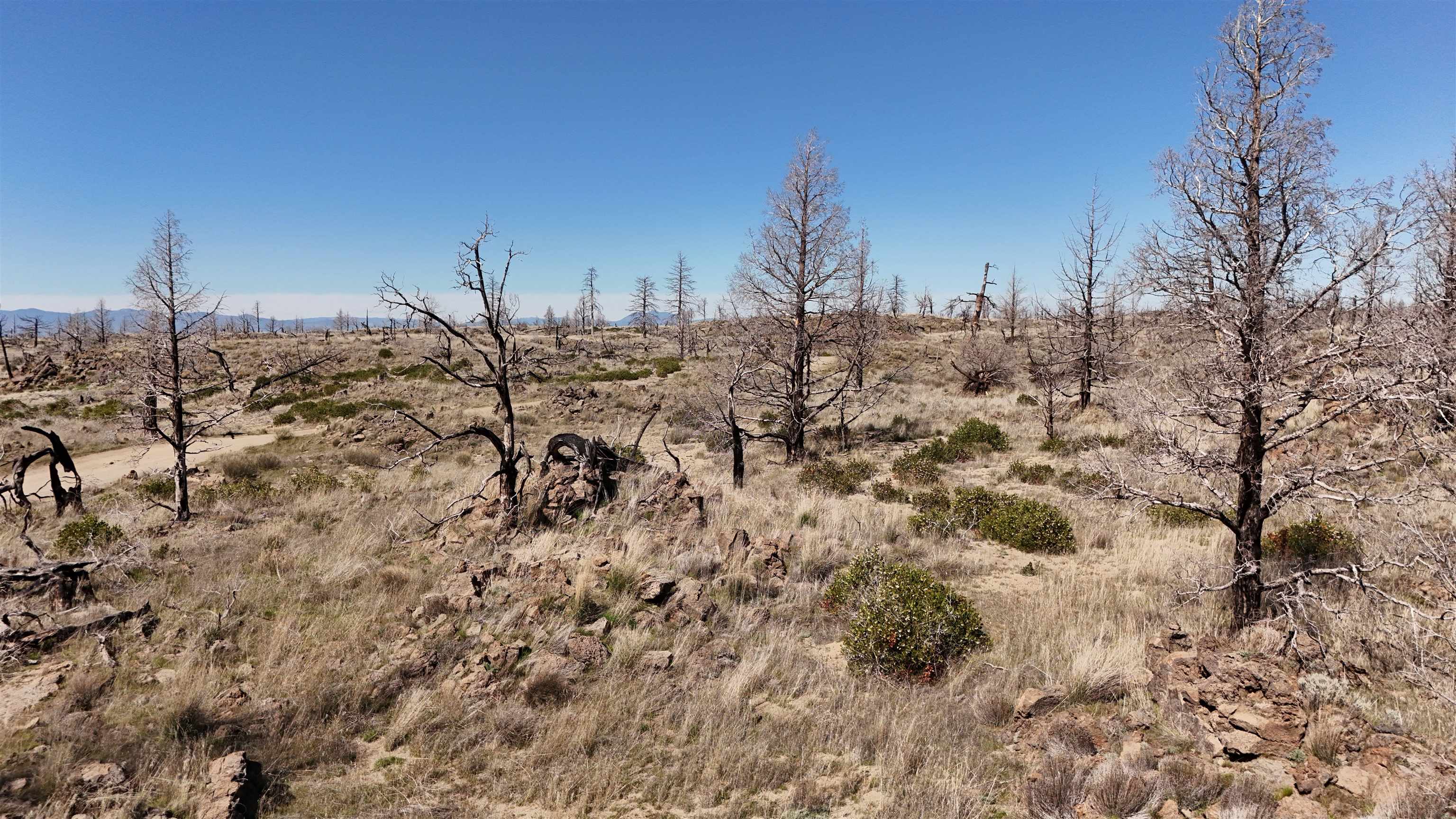 Blk 43 Lot 35 Heinzelman Dr