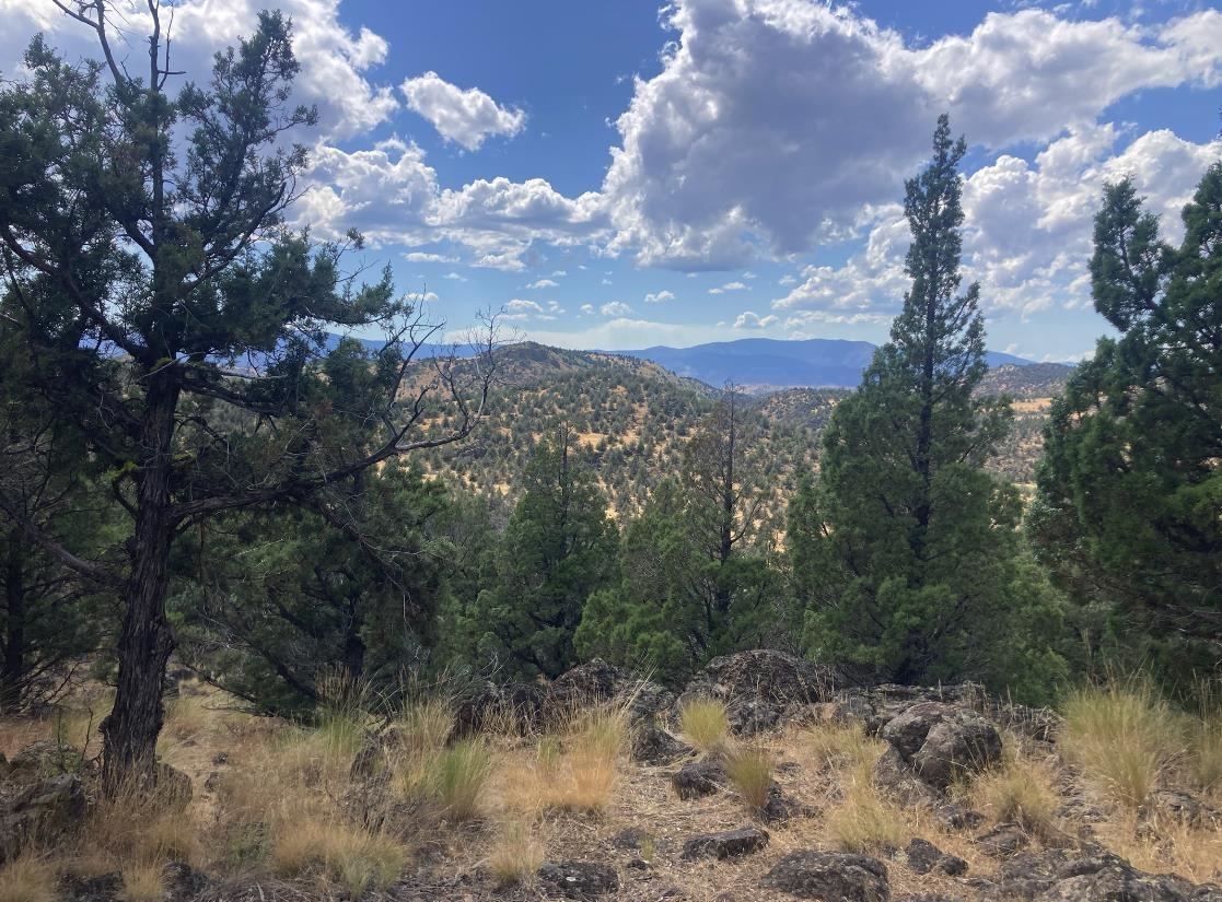 Lot 242 Eagle Rest Ct.