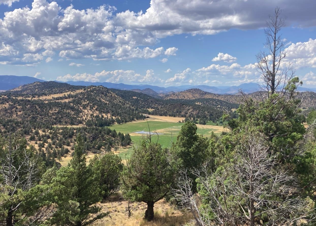 Lot 242 Eagle Rest Ct.