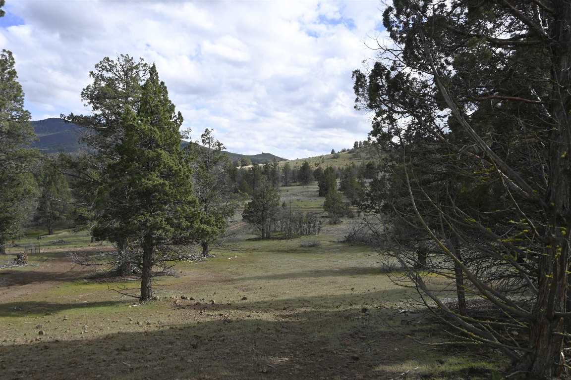 Lot 127 Willit Way