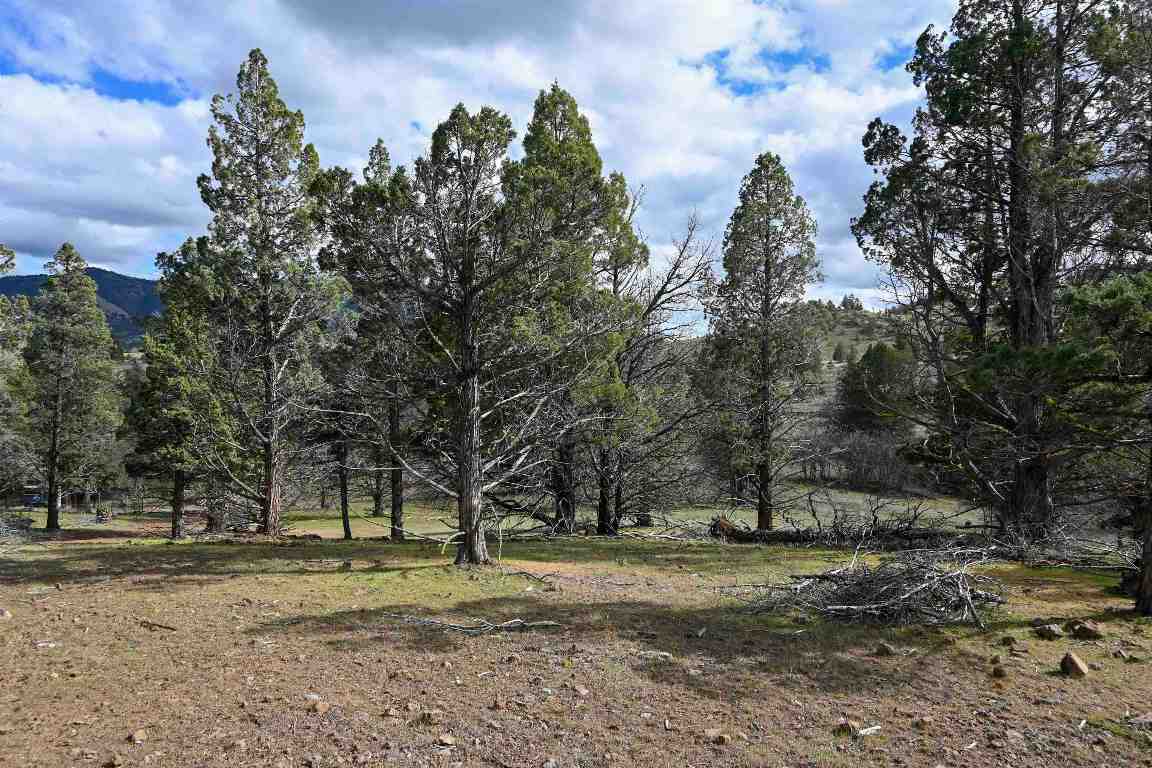 Lot 127 Willit Way