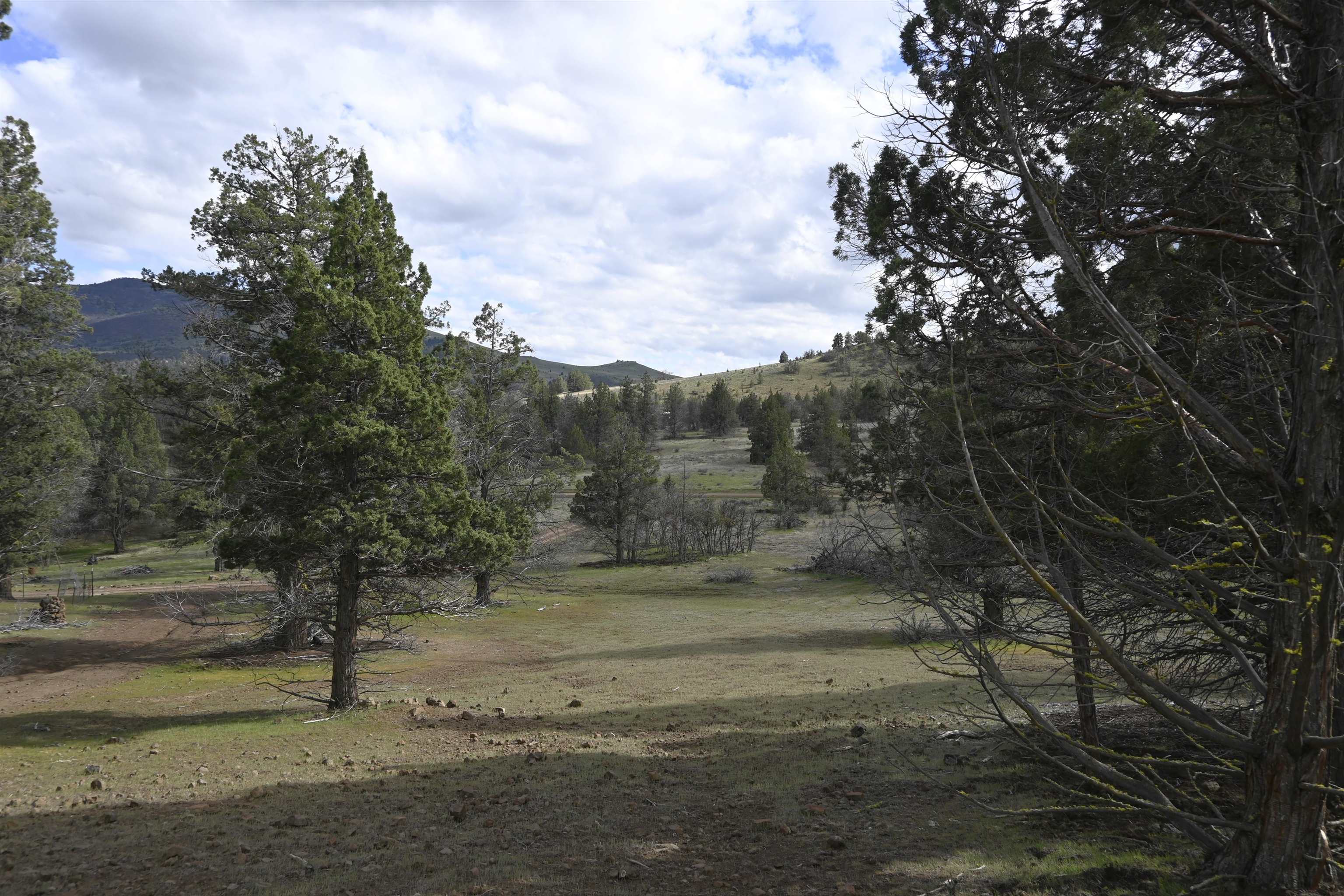 Lot 127 Willit Way