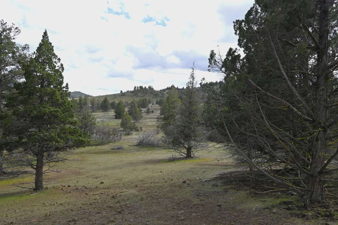Lot 127 Willit Way