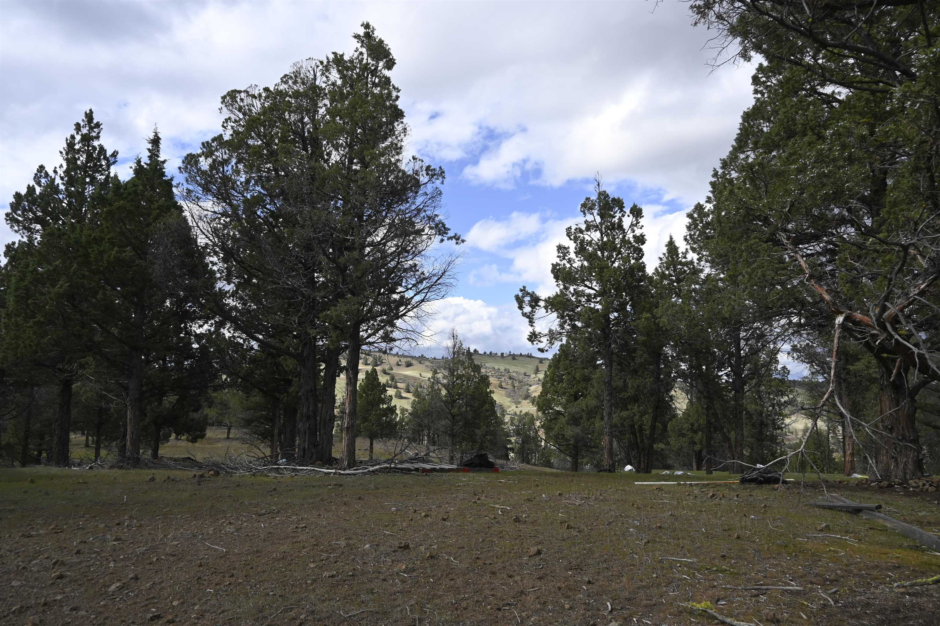 Lot 127 Willit Way