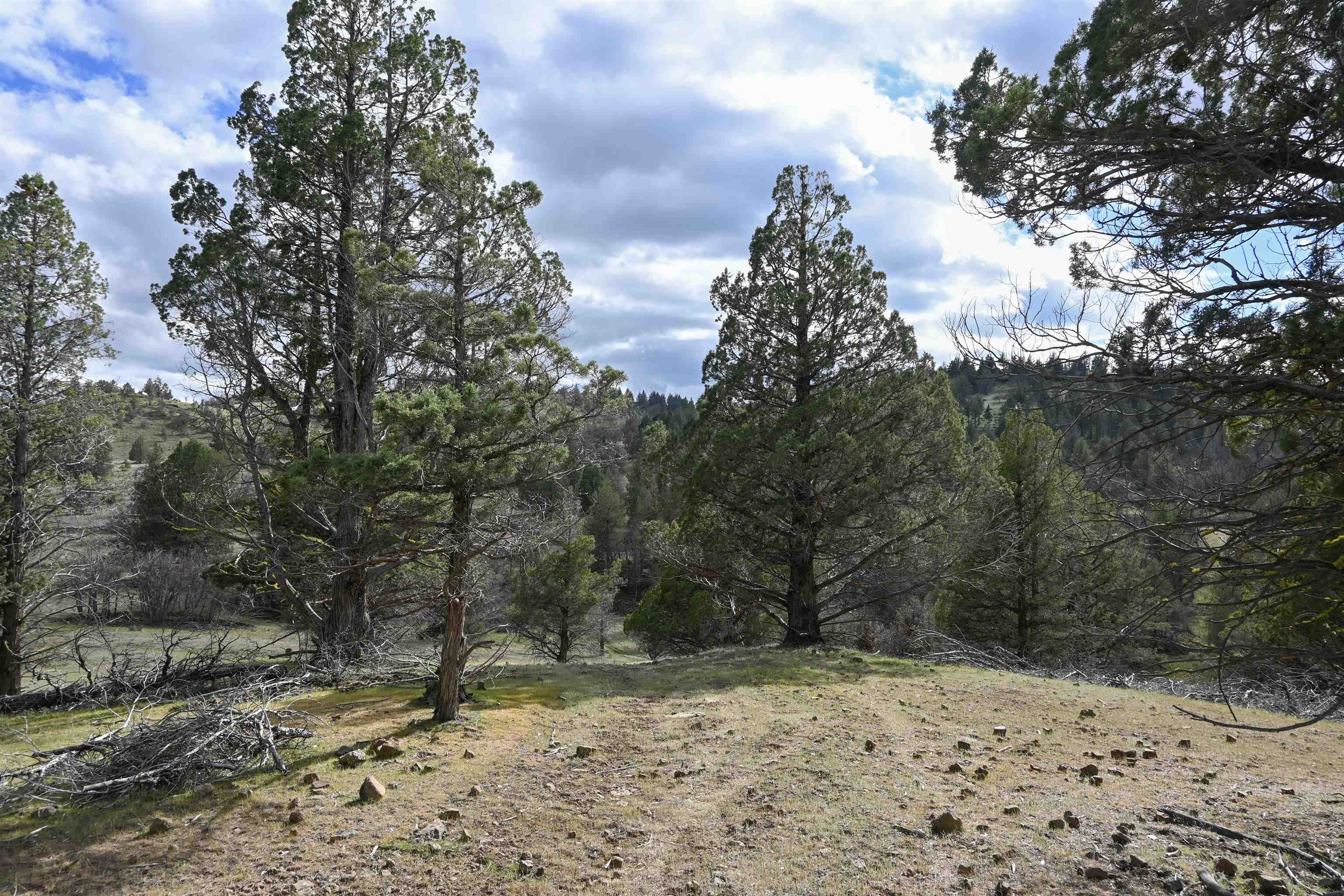 Lot 127 Willit Way