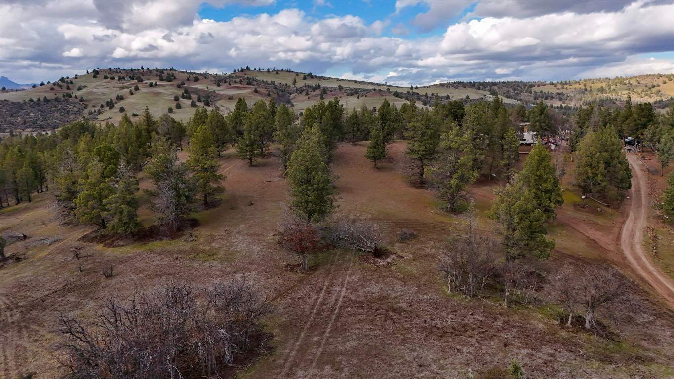 Lot 127 Willit Way
