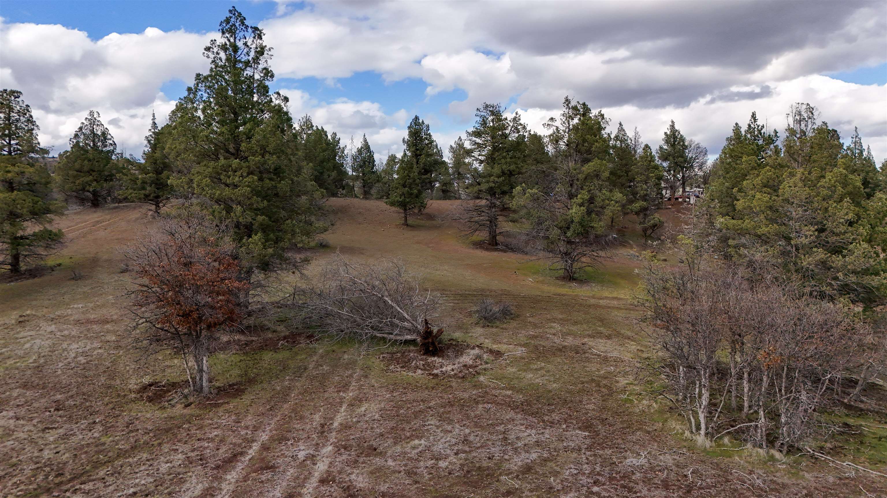 Lot 127 Willit Way