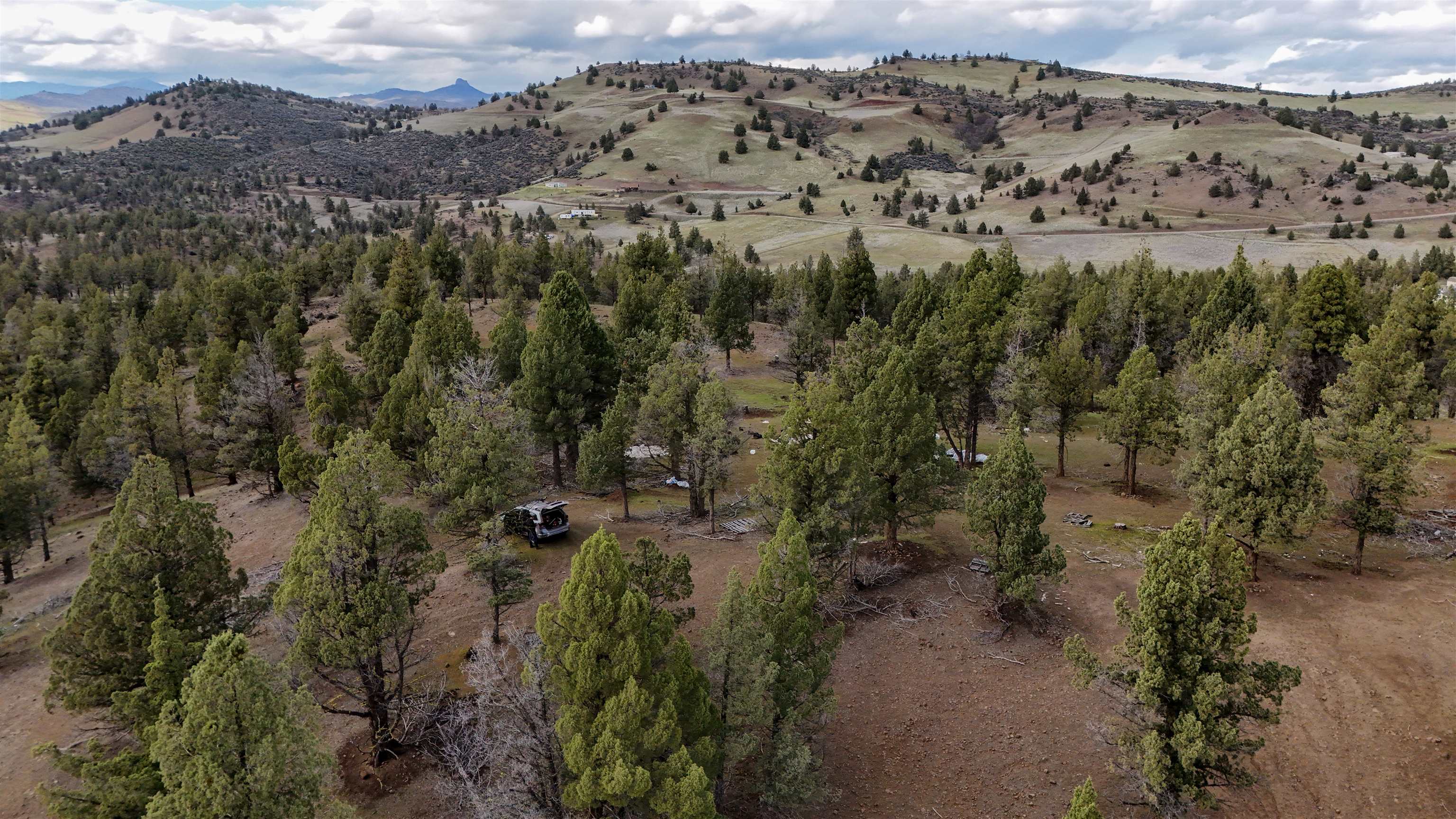 Lot 127 Willit Way