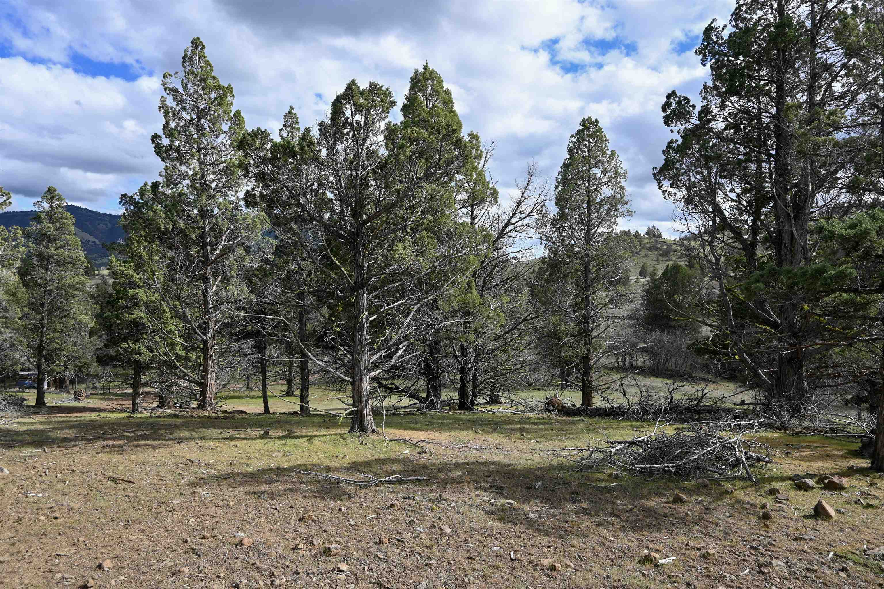 Lot 127 Willit Way
