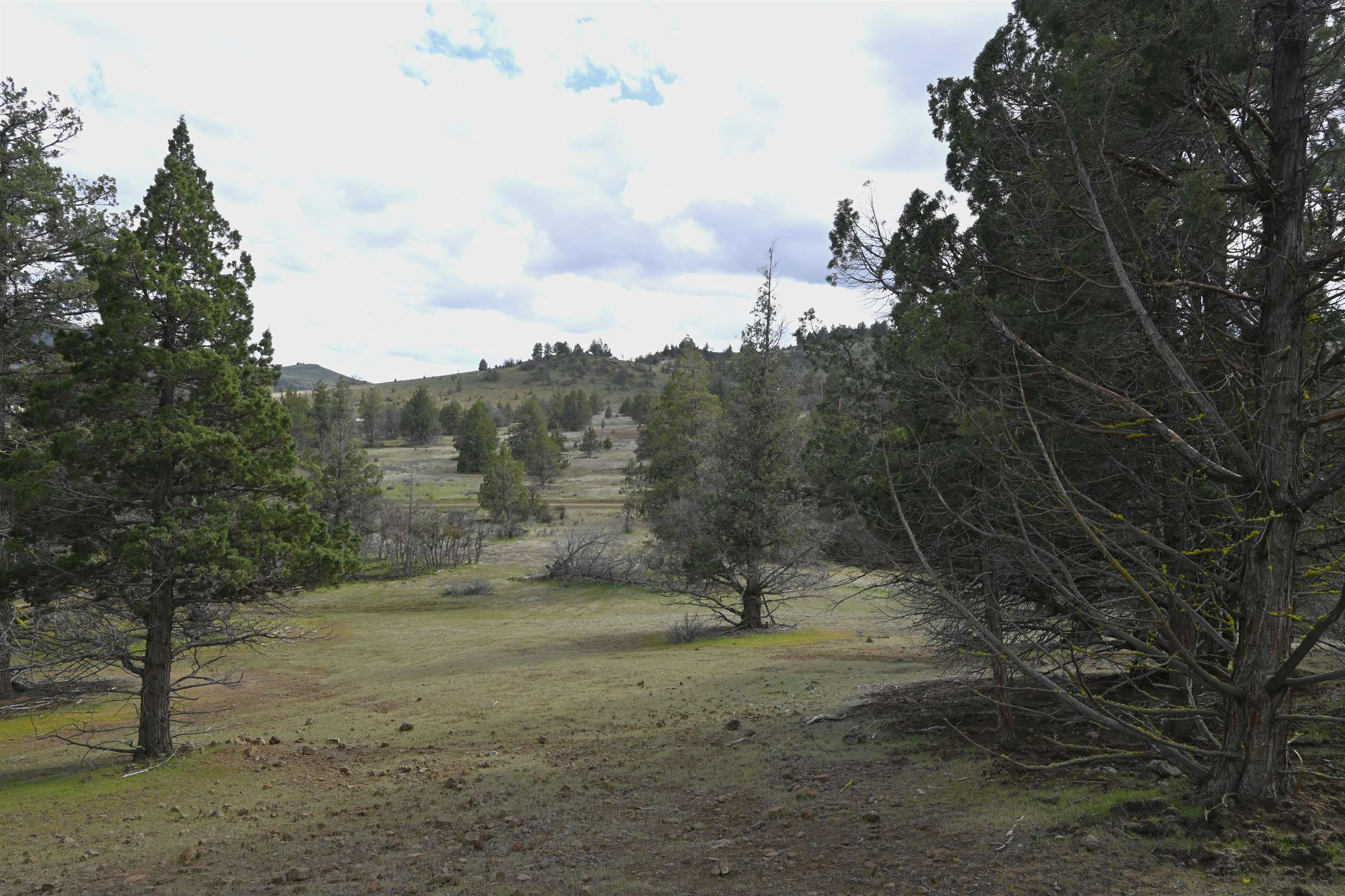 Lot 127 Willit Way