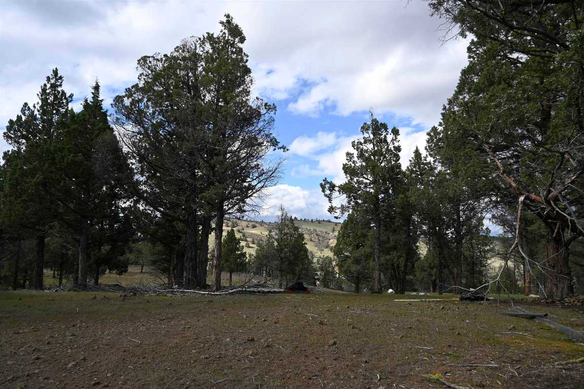 Lot 127 Willit Way