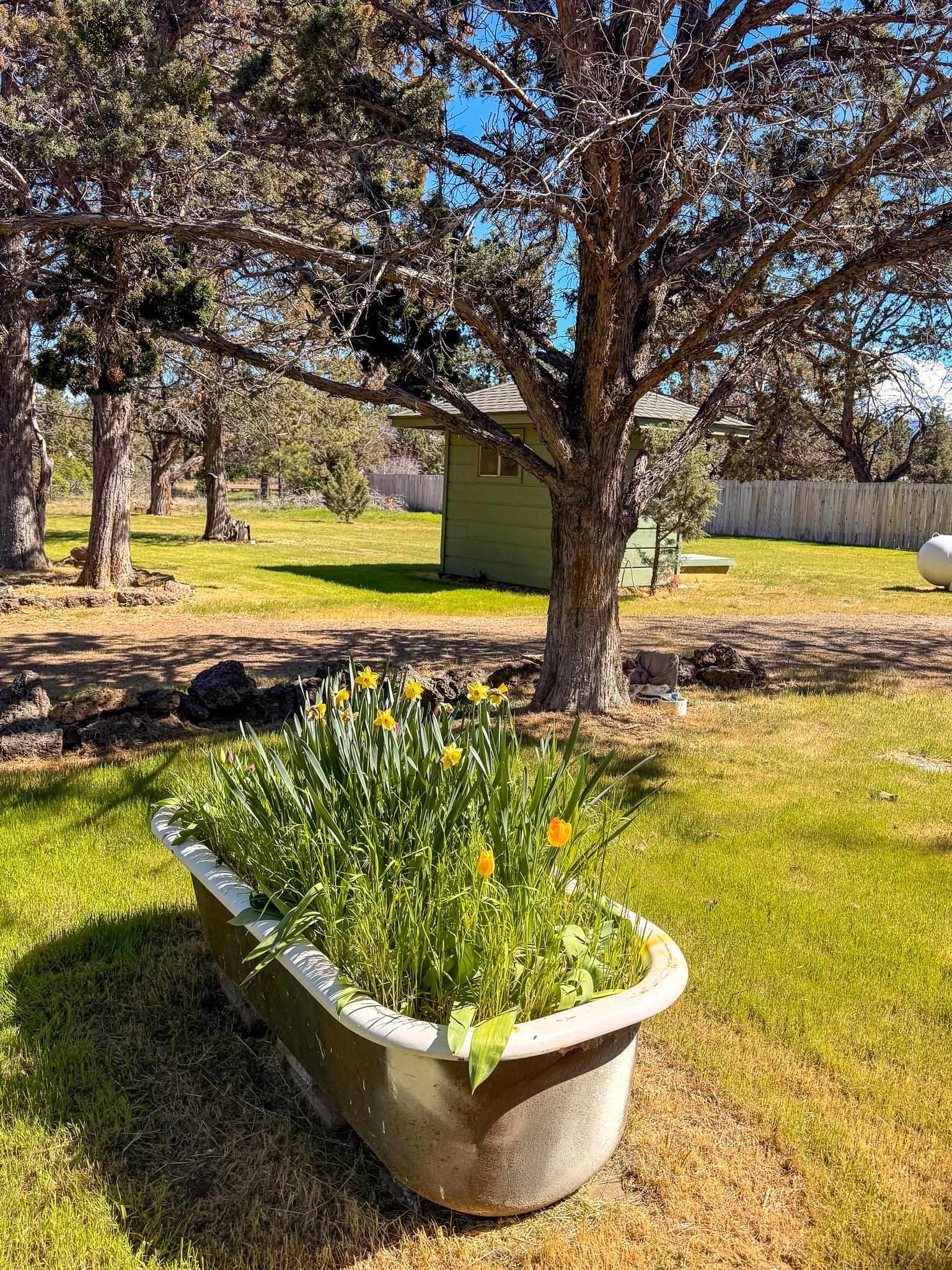 11138 Apache Rd