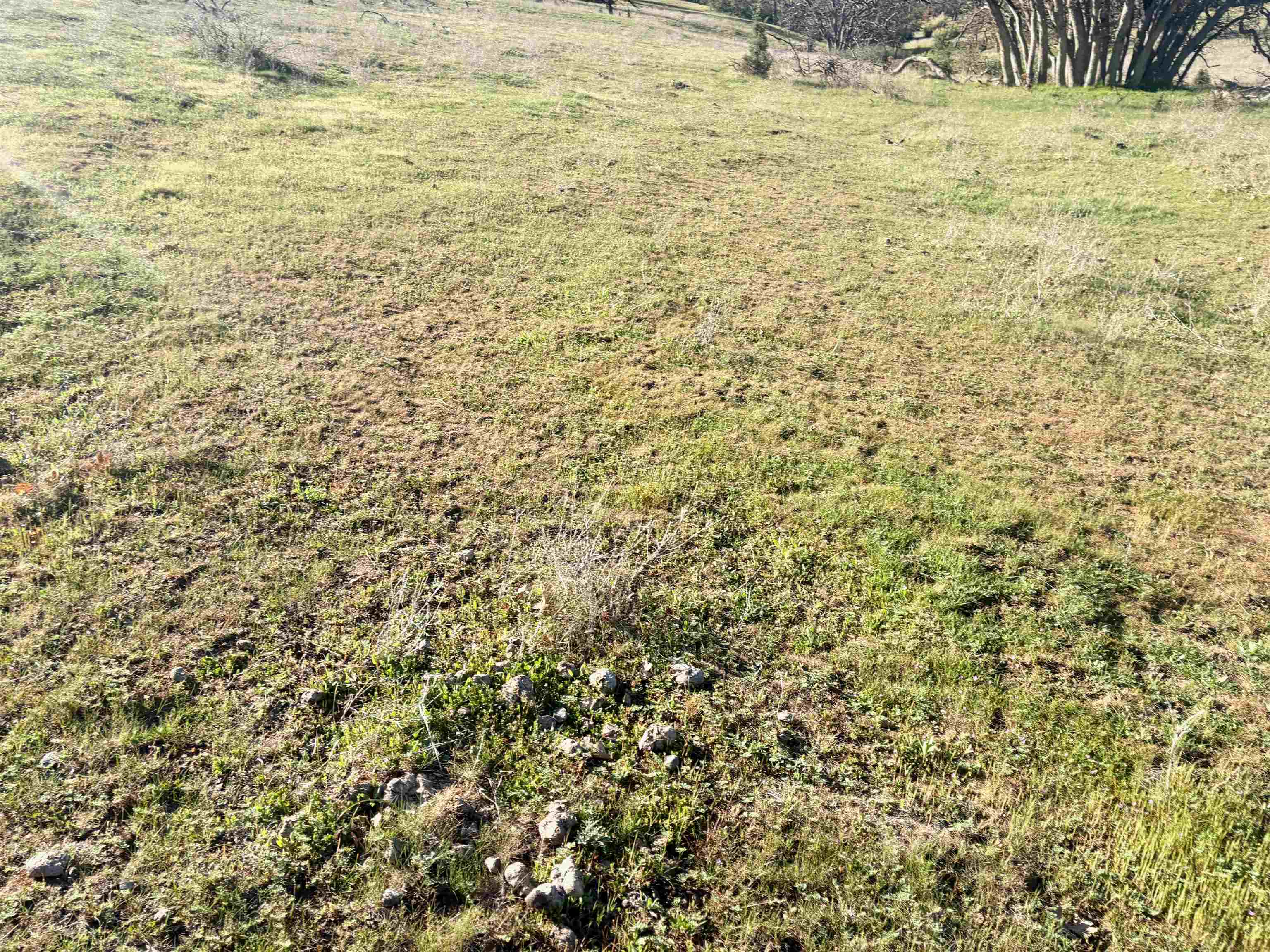 XXX Yellow Dog Trail