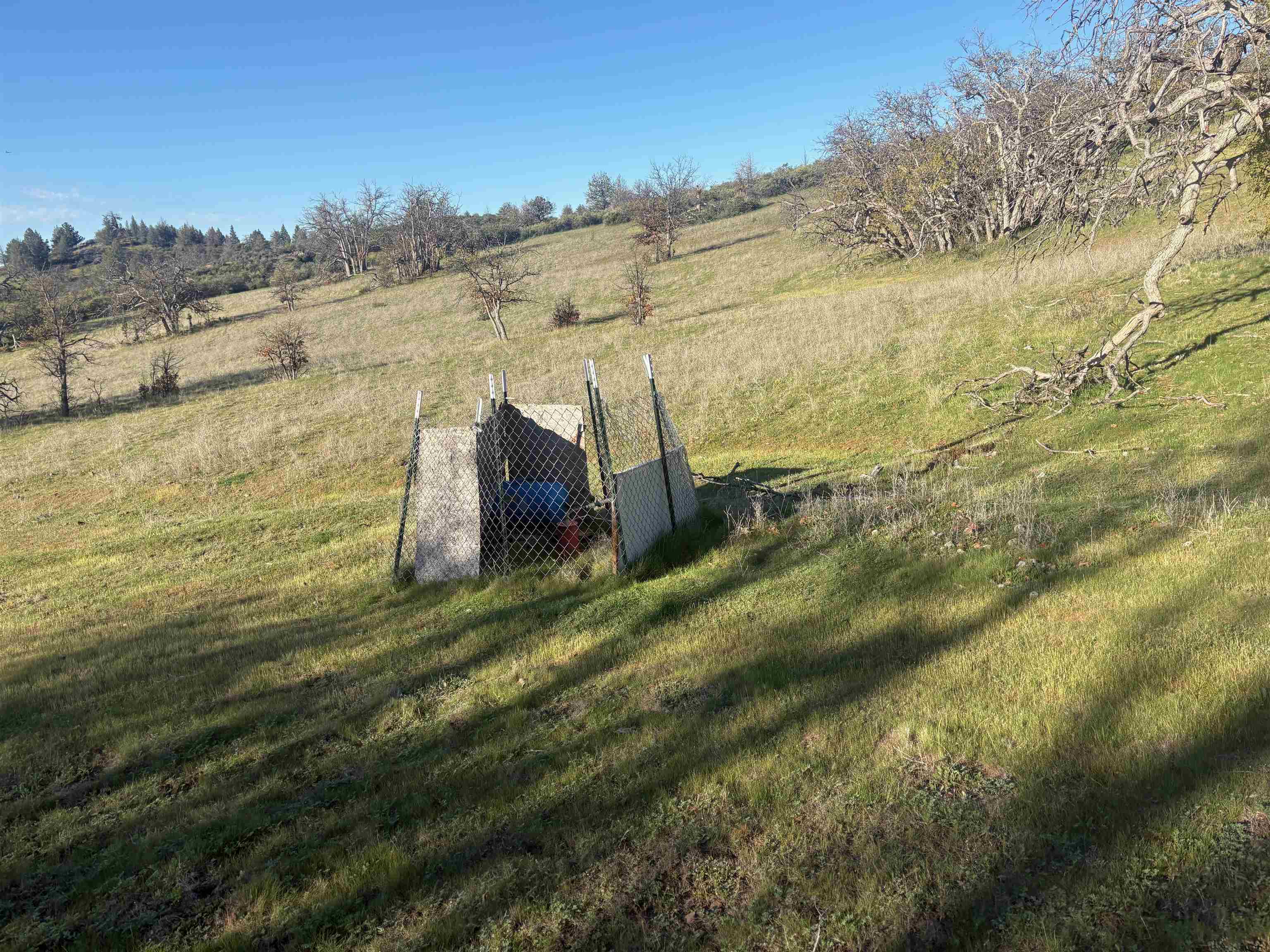 XXX Yellow Dog Trail