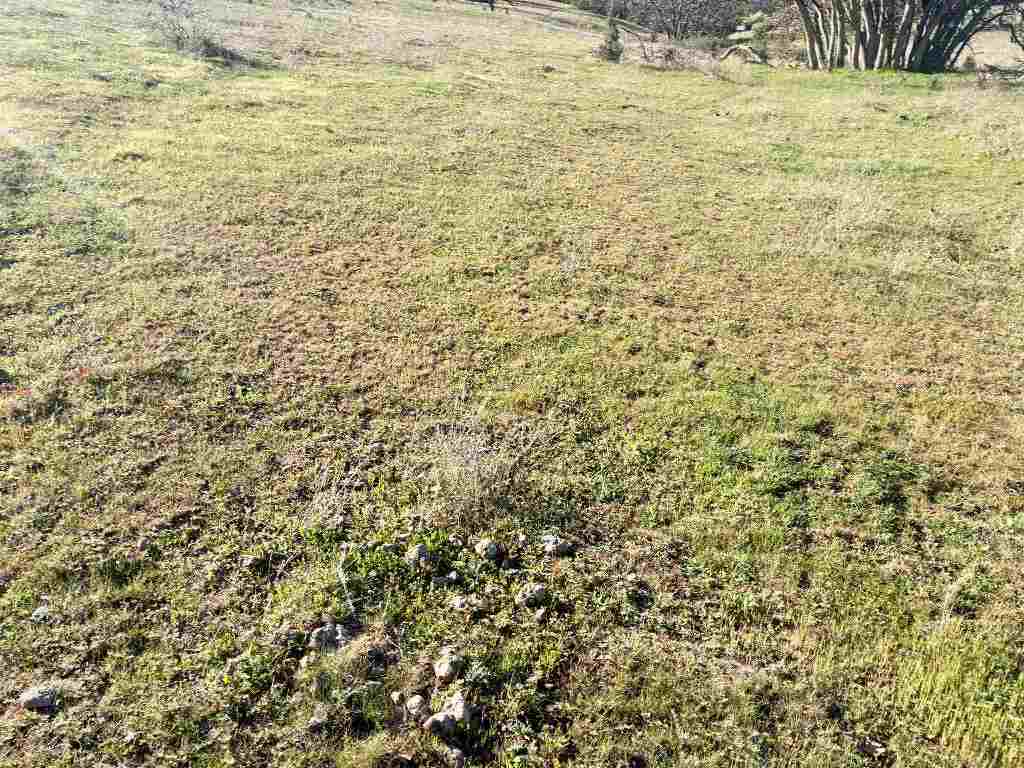 XXX Yellow Dog Trail